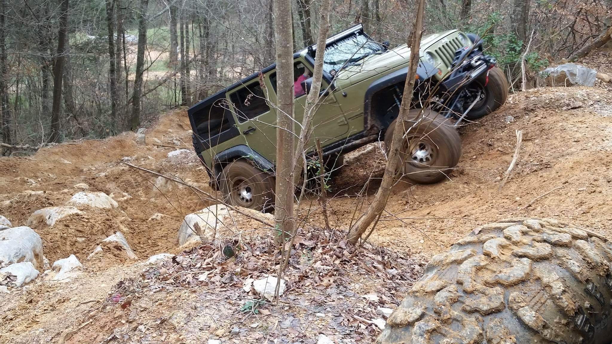 Woods Jeeping and Adventures photo 29