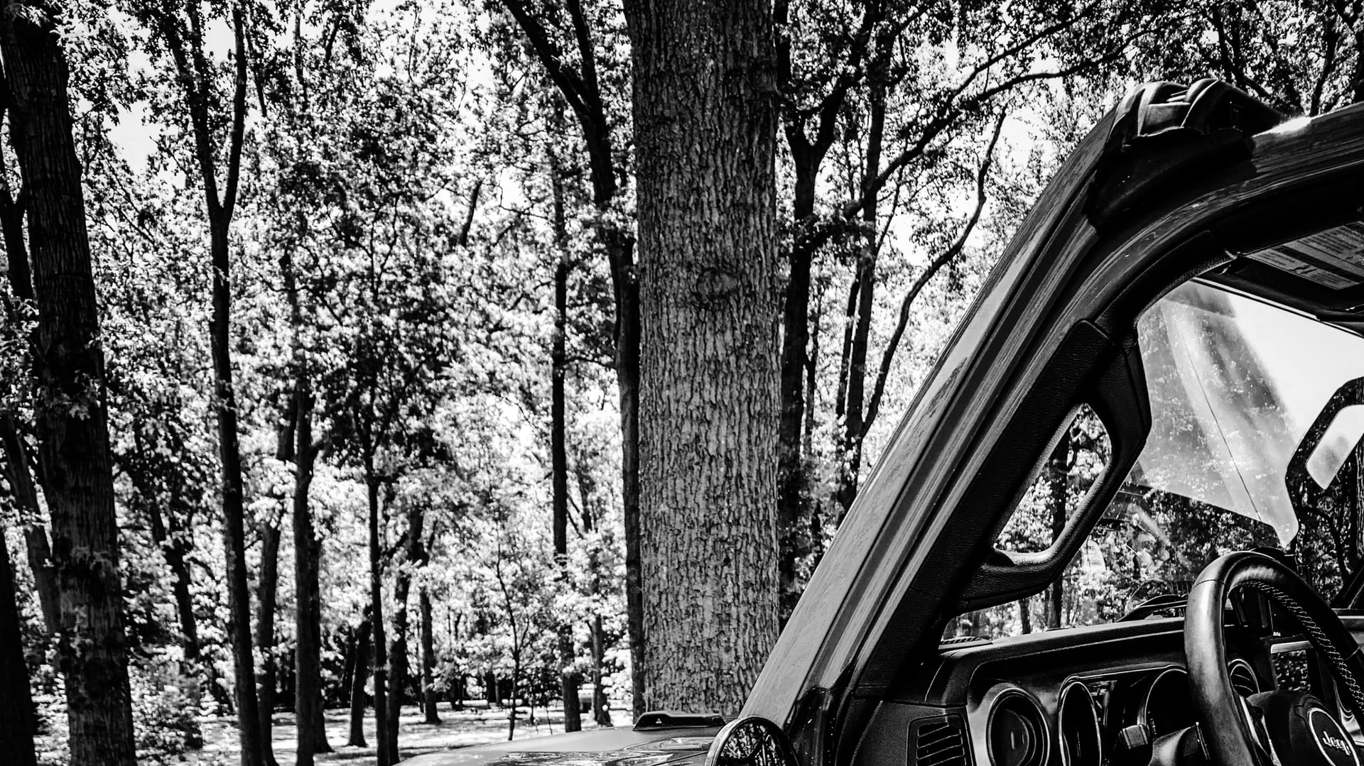 MidLifeCrisisJT photo 43