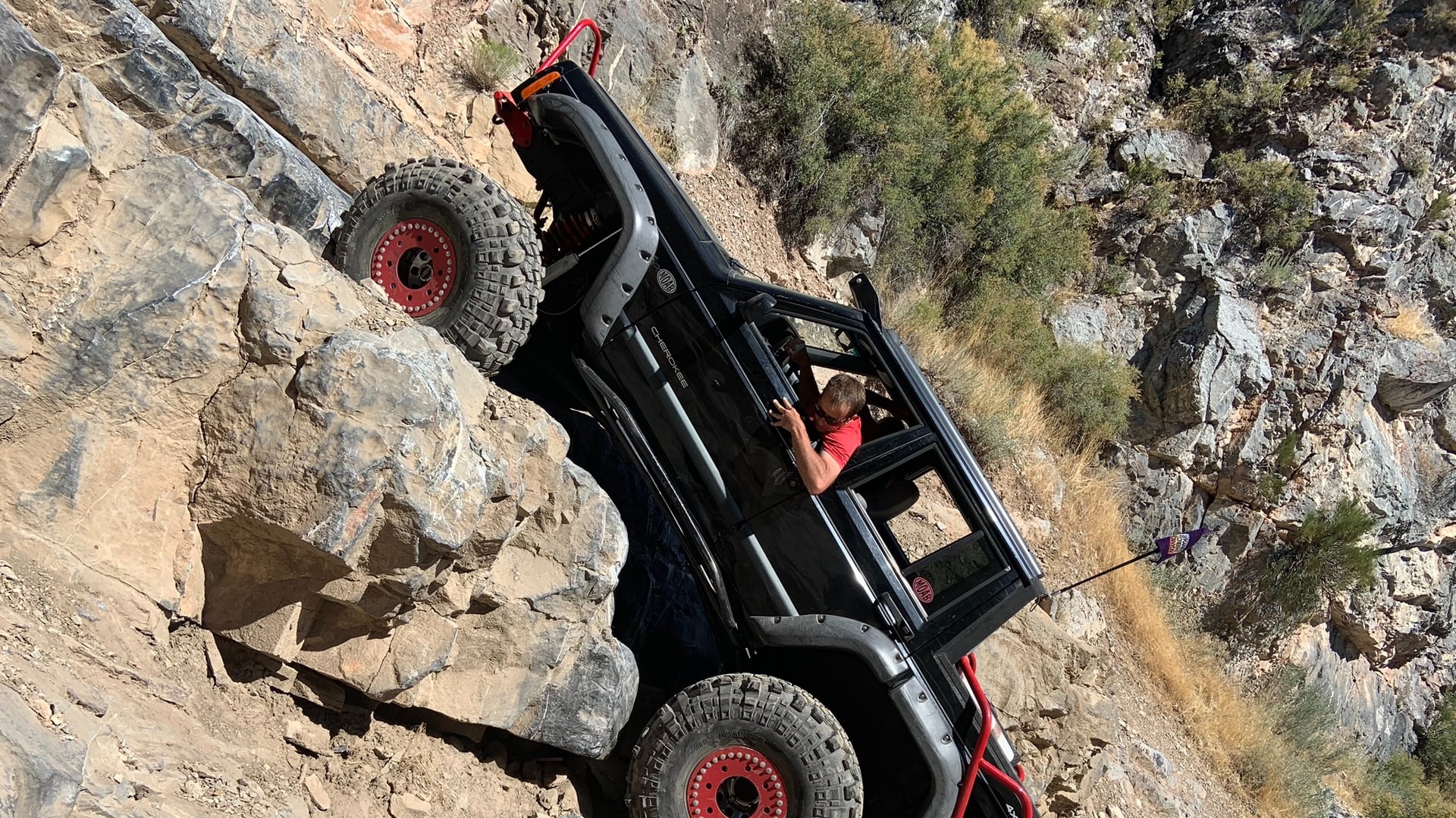 Chewy The XJ photo 12