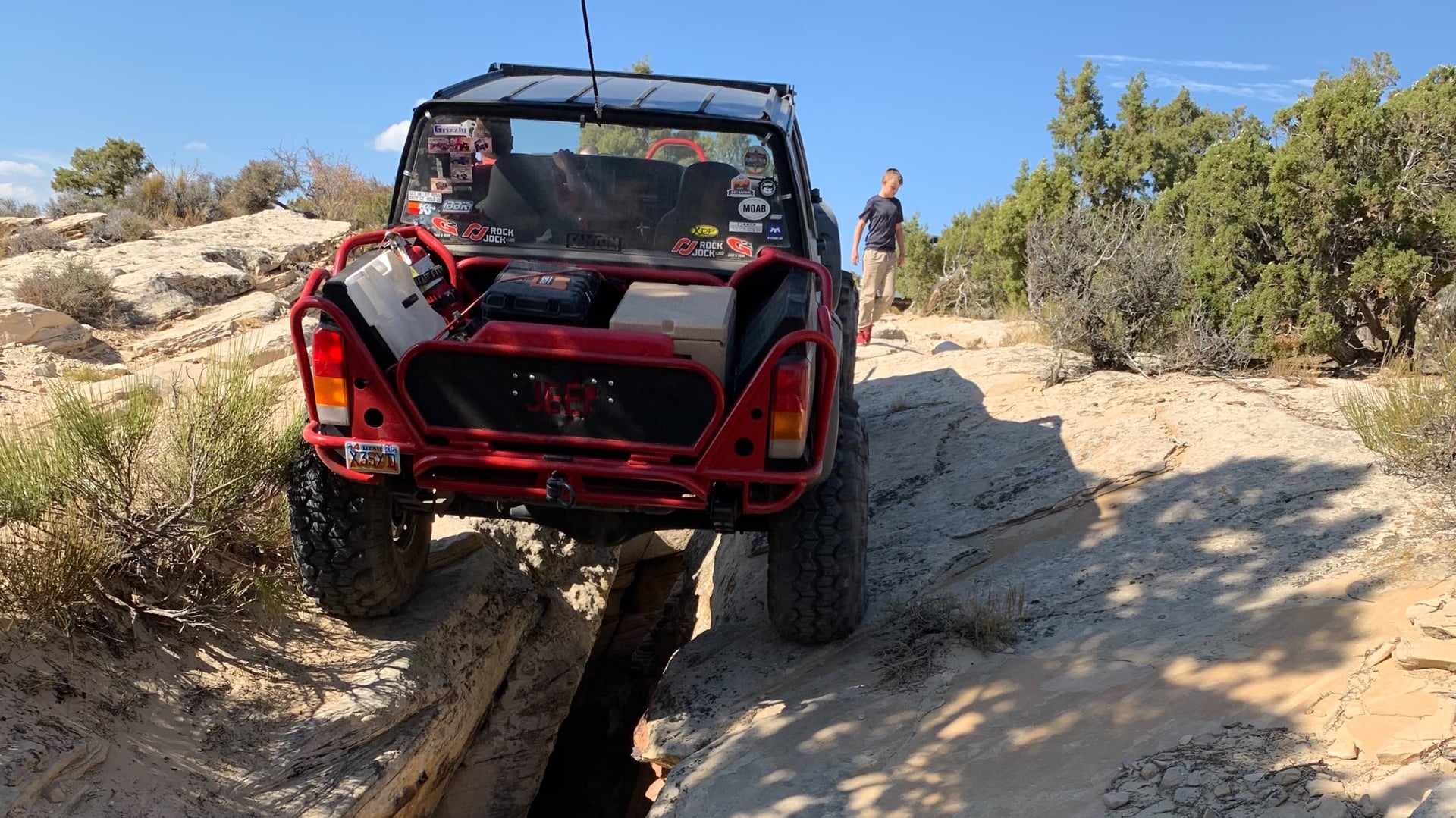Chewy The XJ photo 24