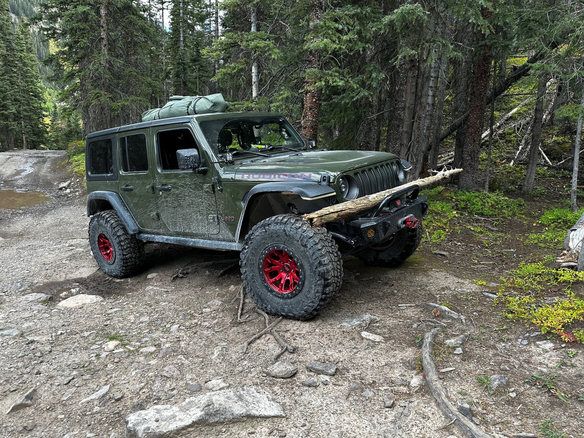 Green Slasher photo 16