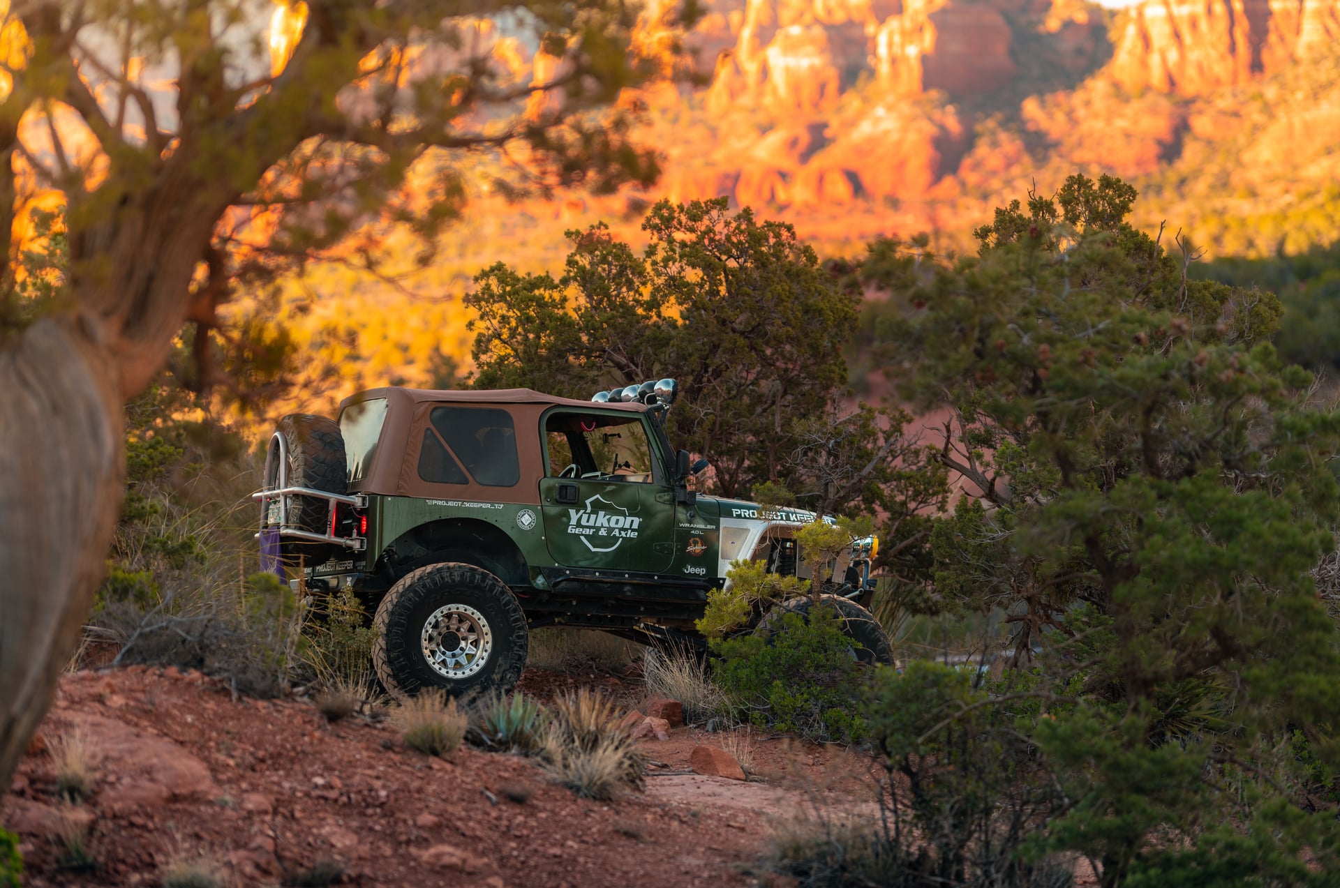 Project Keeper photo 6