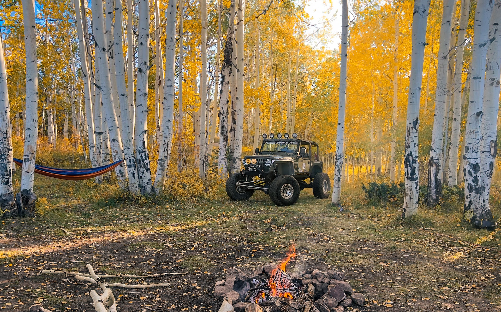 Project Keeper photo 8