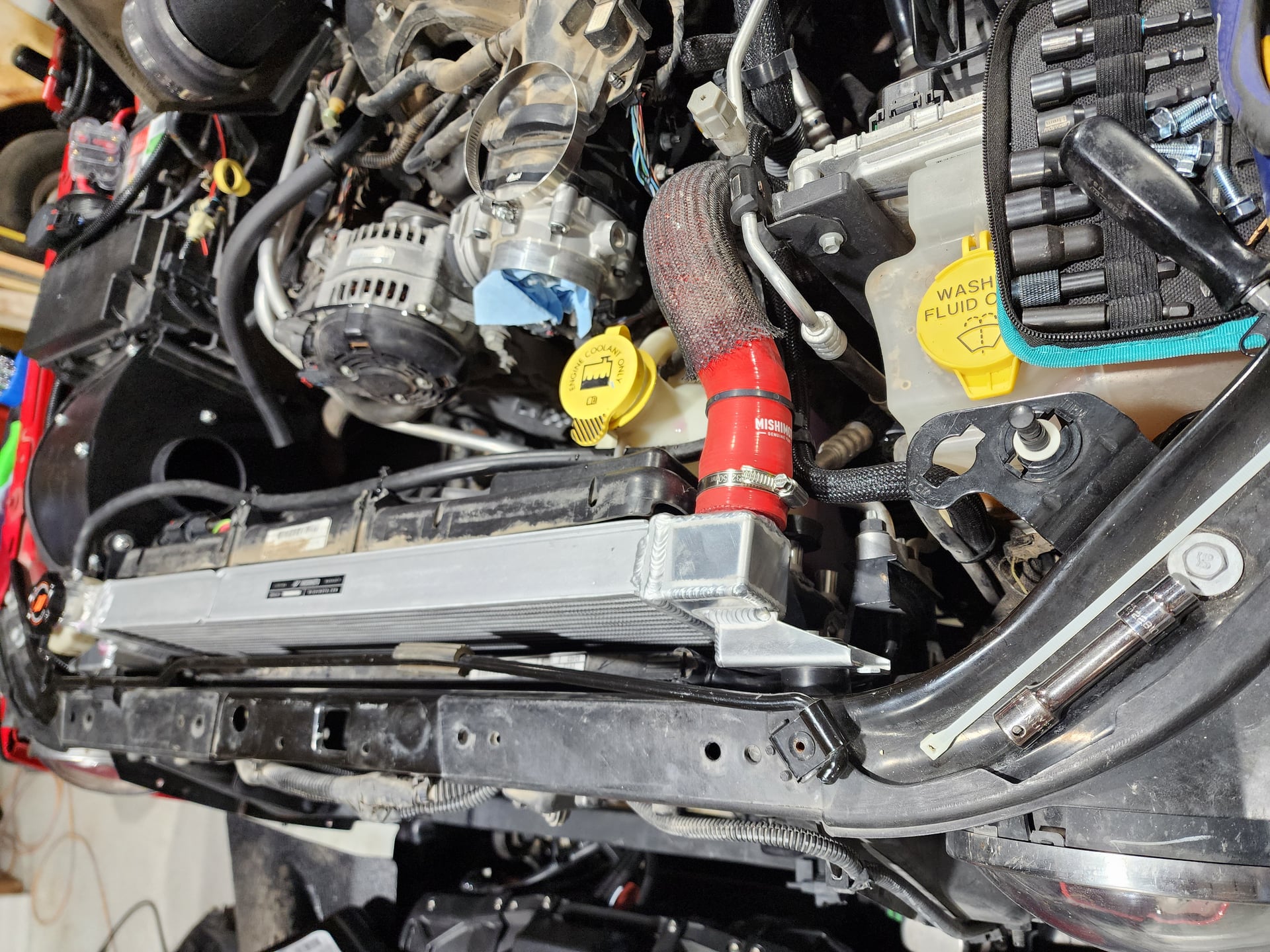 Ruby the Rubicon photo 5