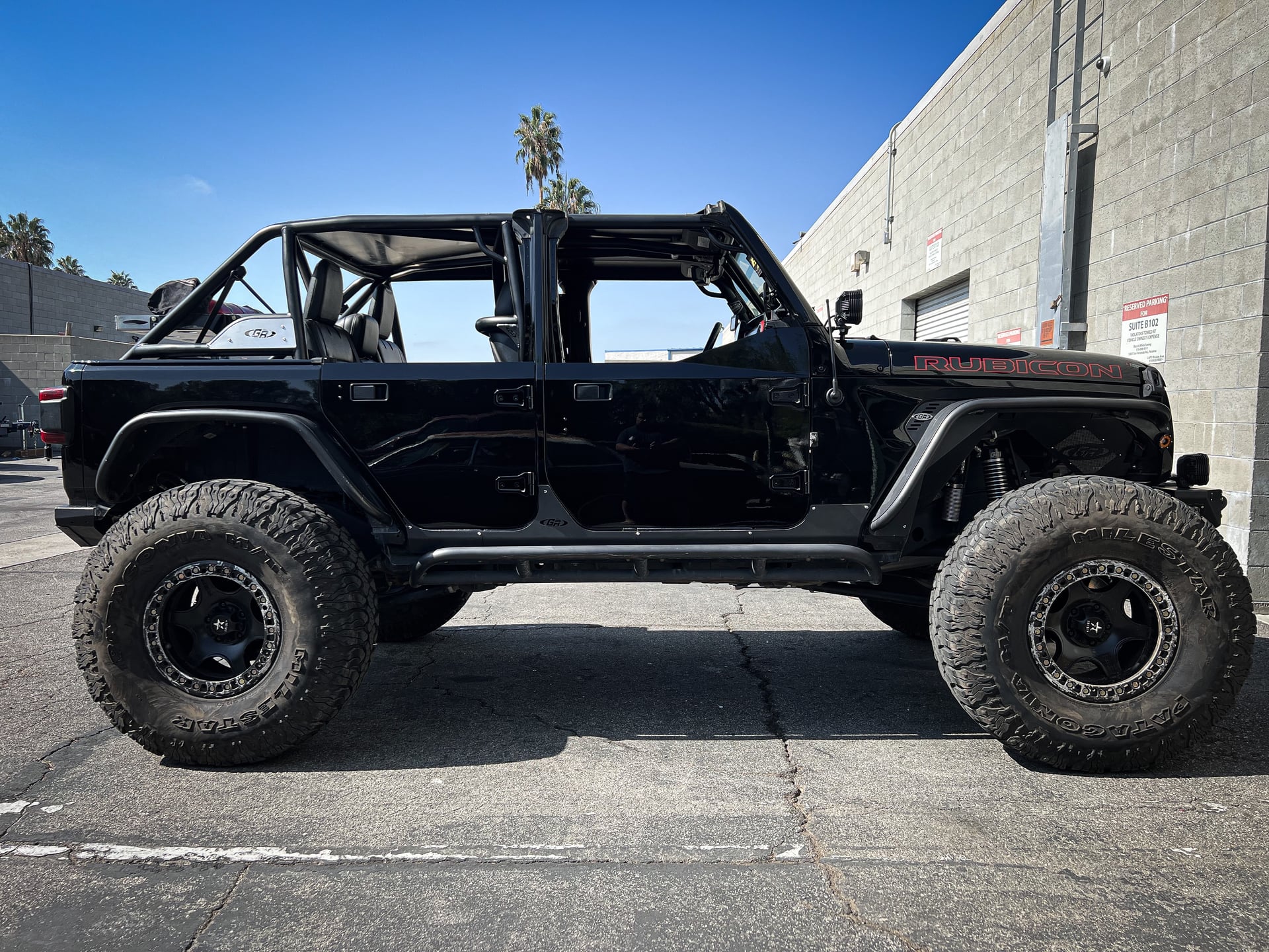 BlackStallion photo 14