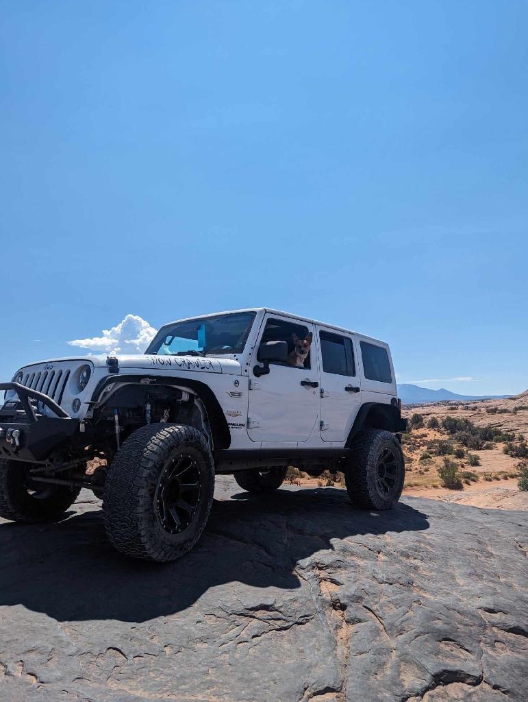 Snow Crawler photo 6