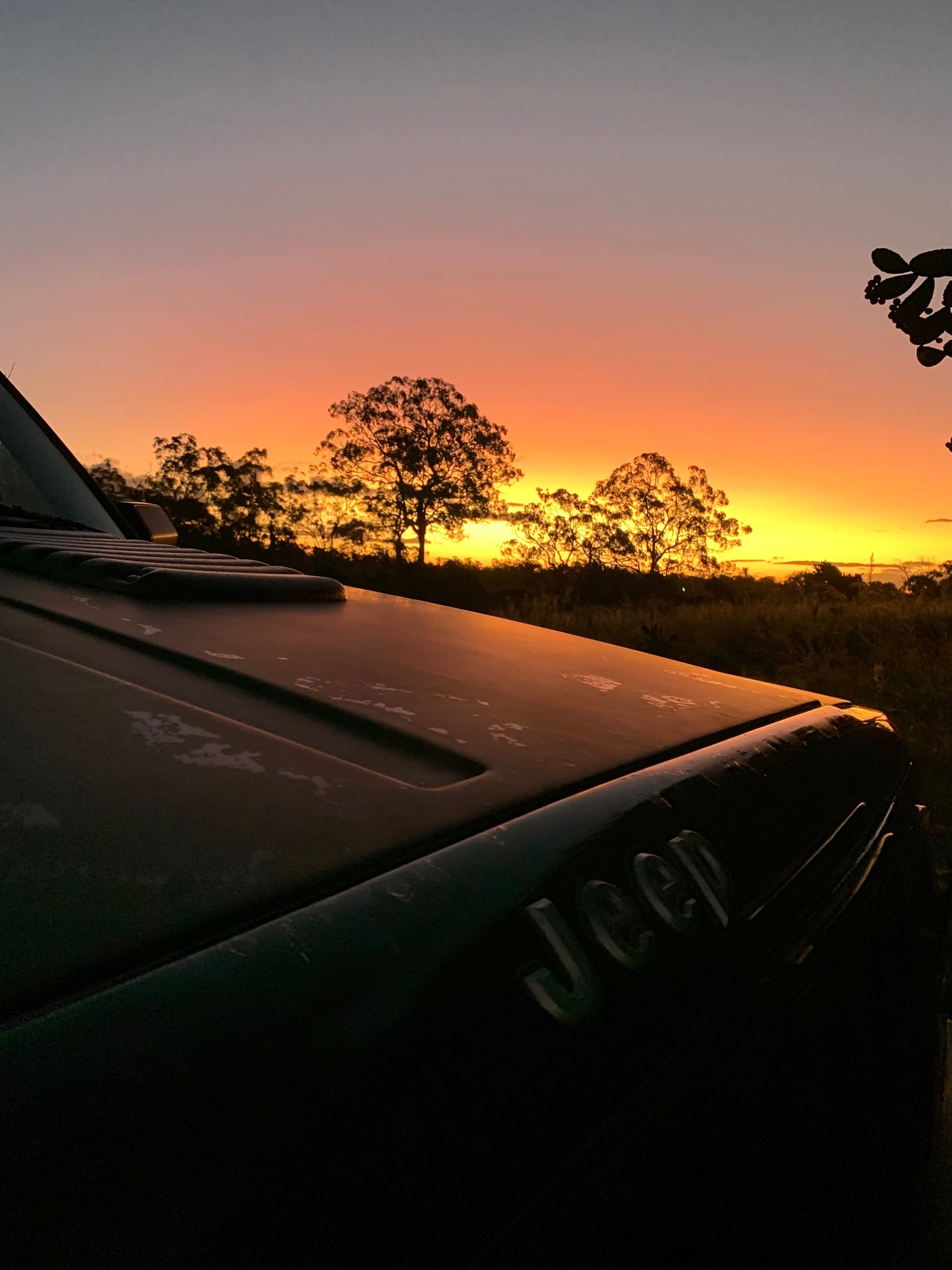 Jeepin' Down Under photo 21
