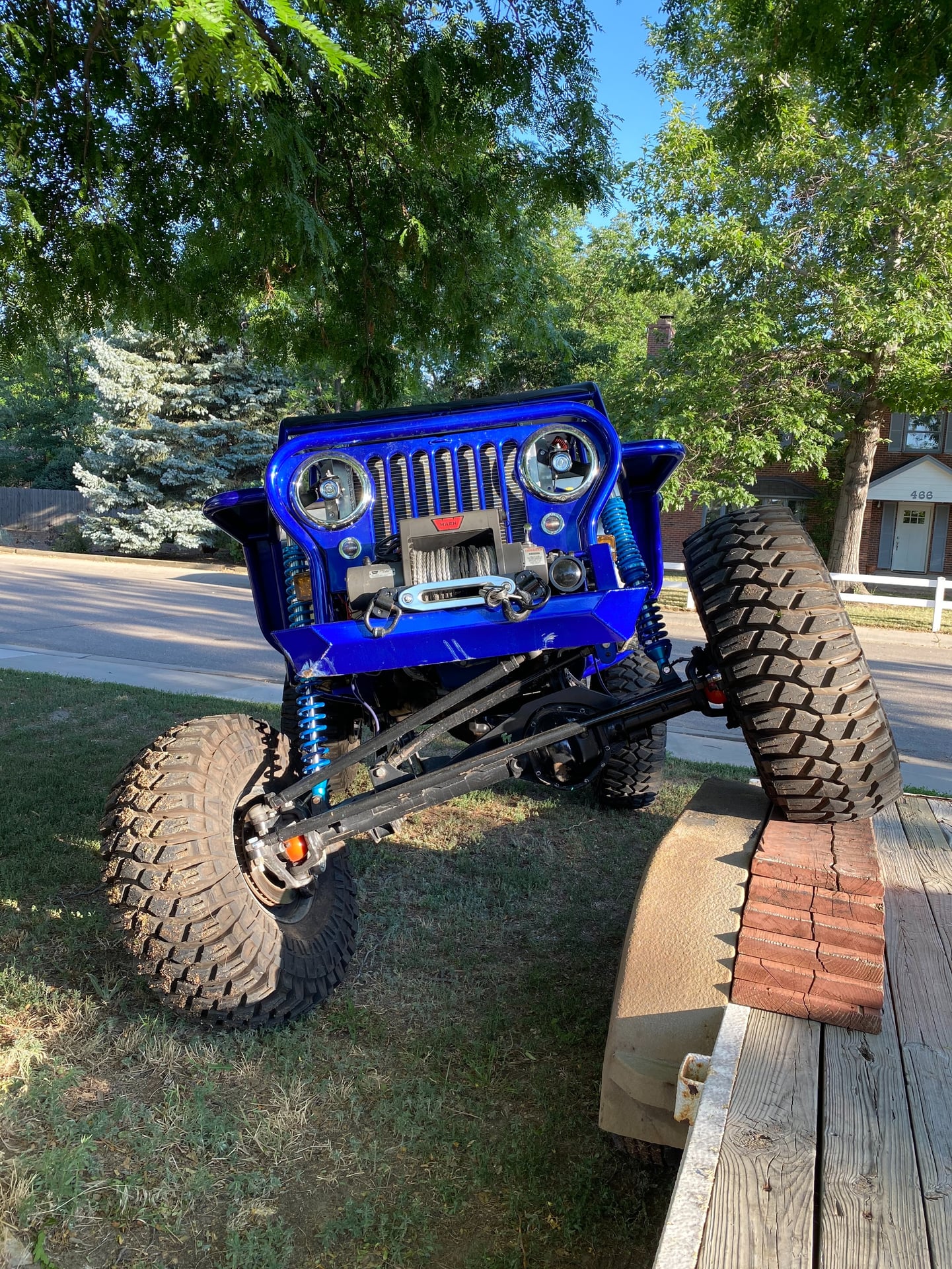 bluewilly photo 17