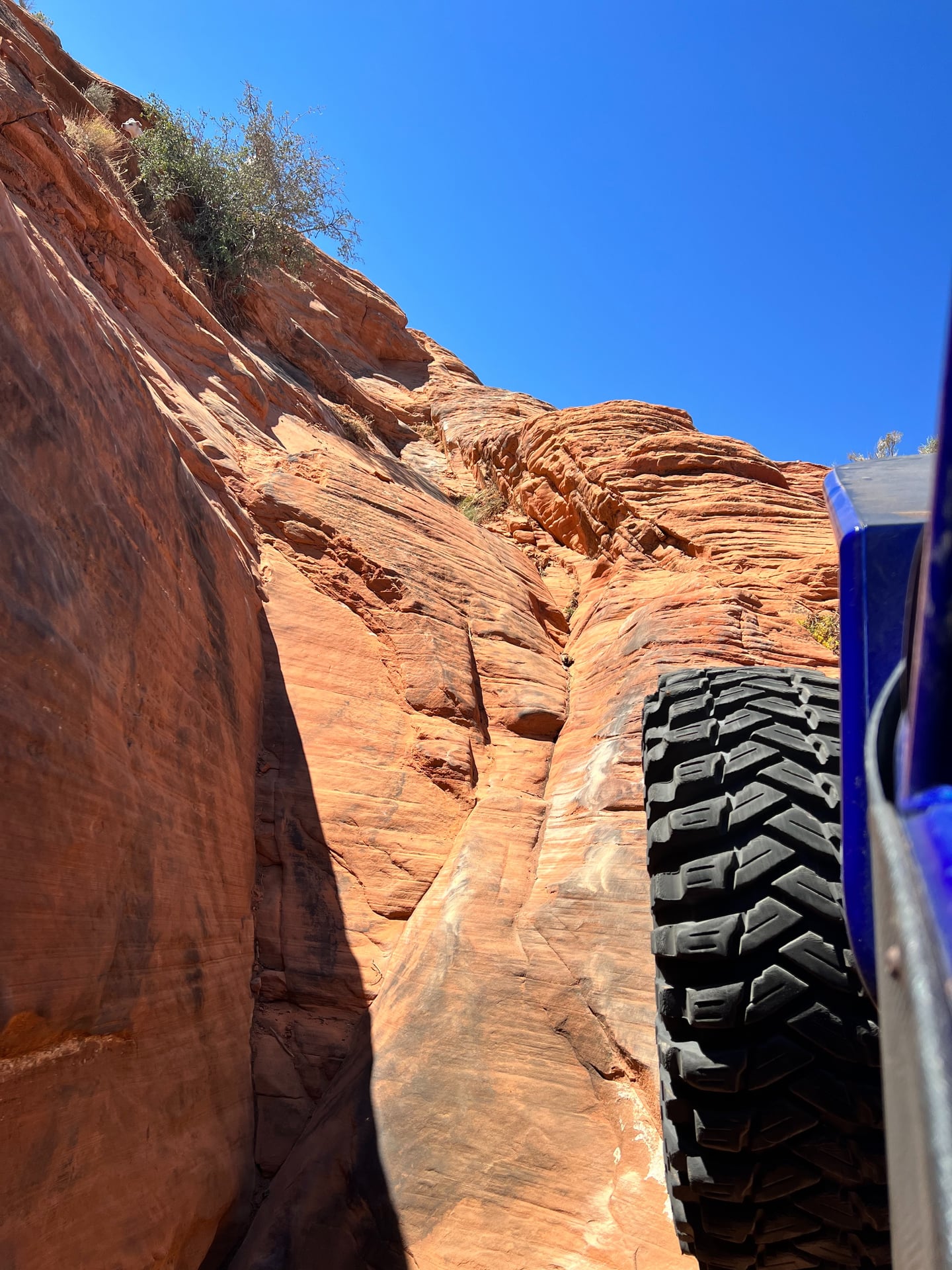 bluewilly photo 19