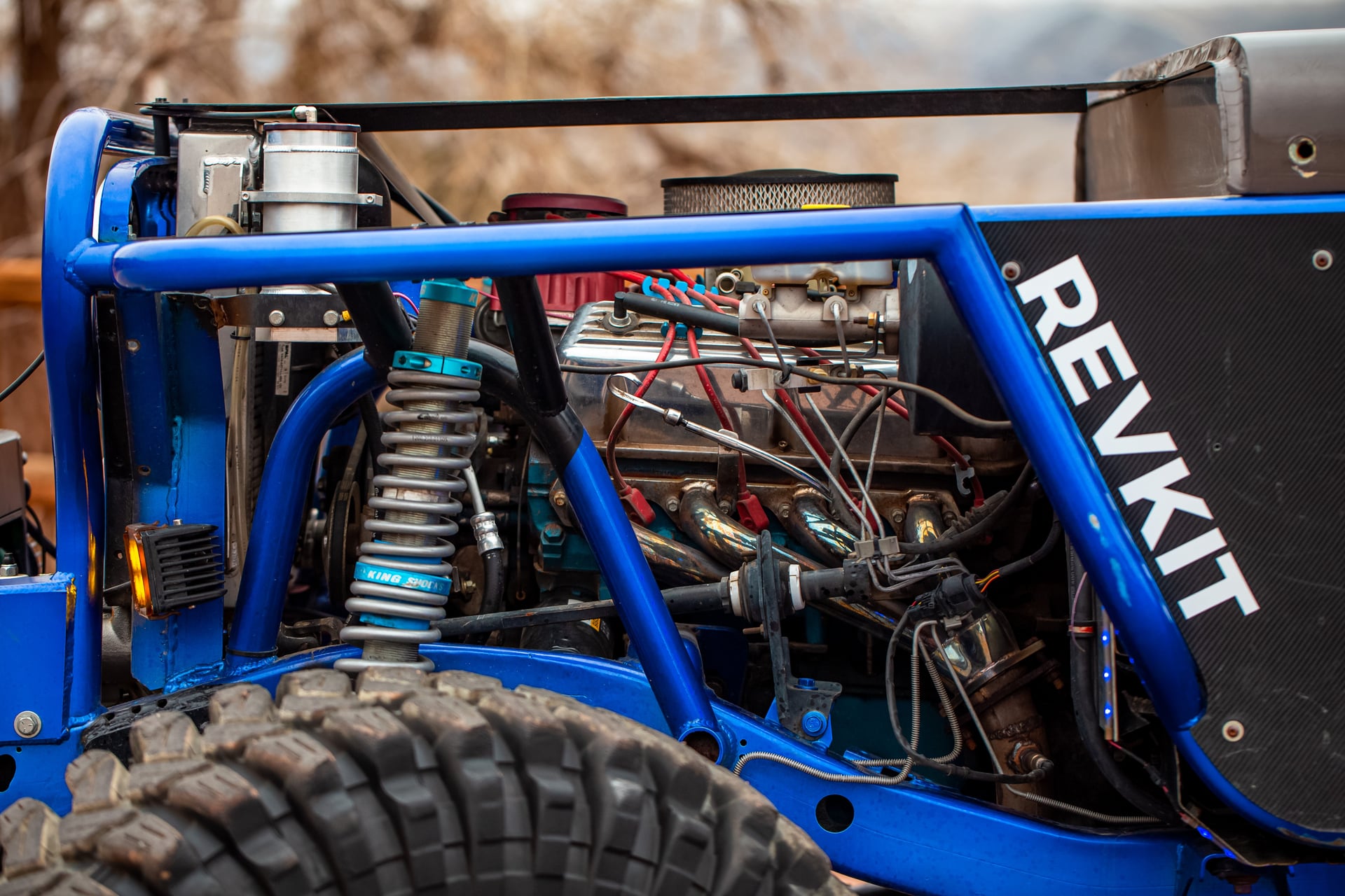bluewilly photo 16