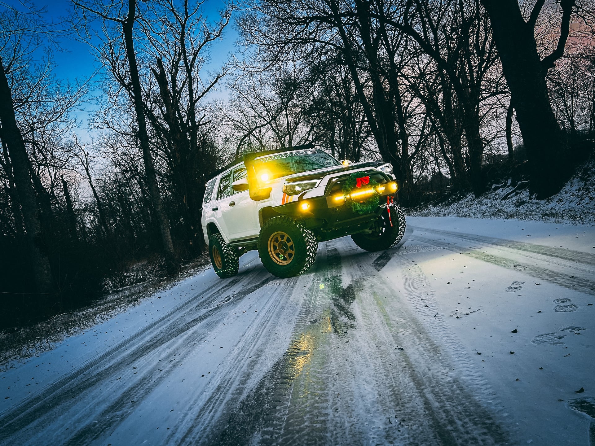 Feral Pig, a 2015 Toyota 4Runner, photo 22 of 25