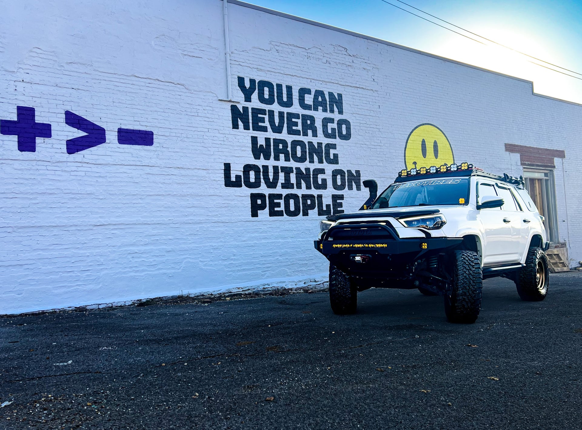 Feral Pig, a 2015 Toyota 4Runner, photo 23 of 25