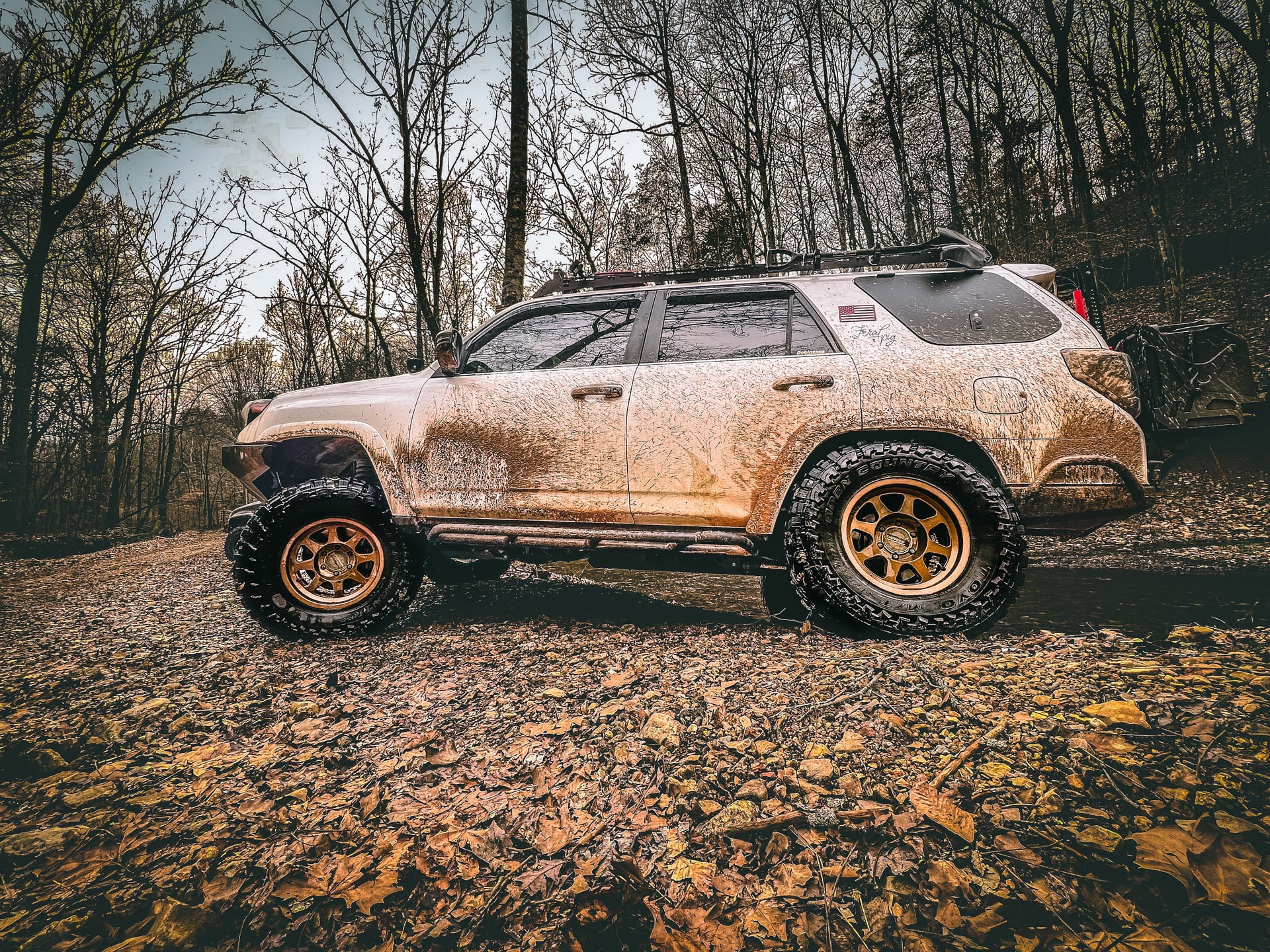 Feral Pig, a 2015 Toyota 4Runner, photo 19 of 25