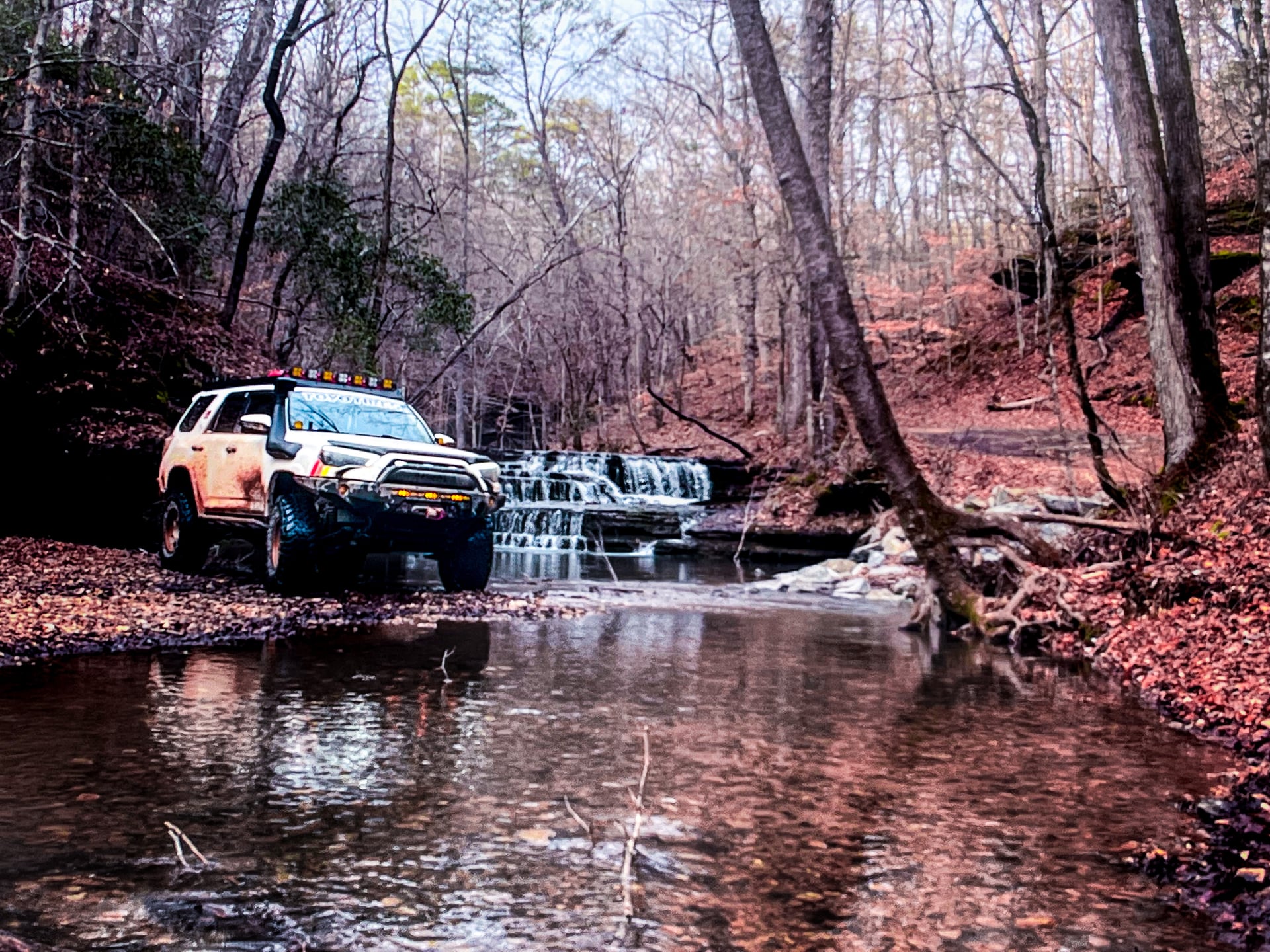Feral Pig, a 2015 Toyota 4Runner, photo 17 of 25
