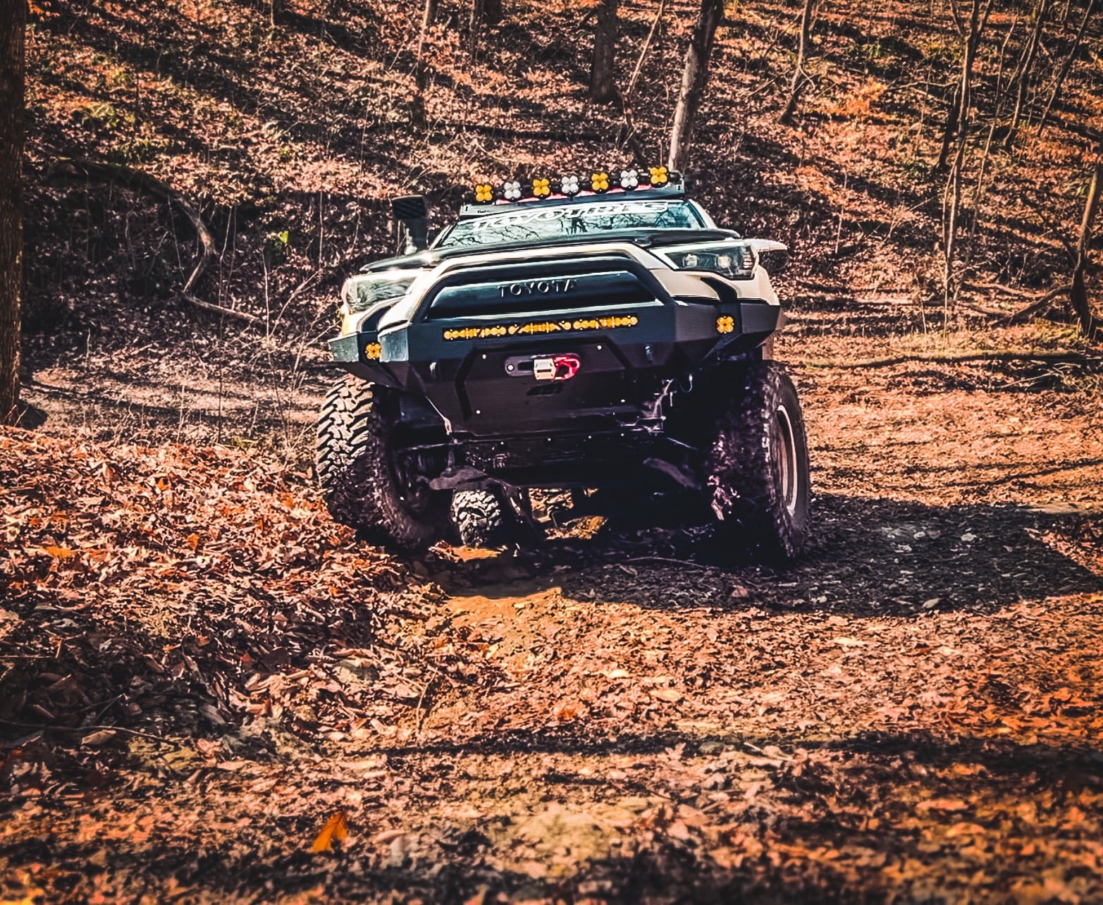 Feral Pig, a 2015 Toyota 4Runner, photo 15 of 25