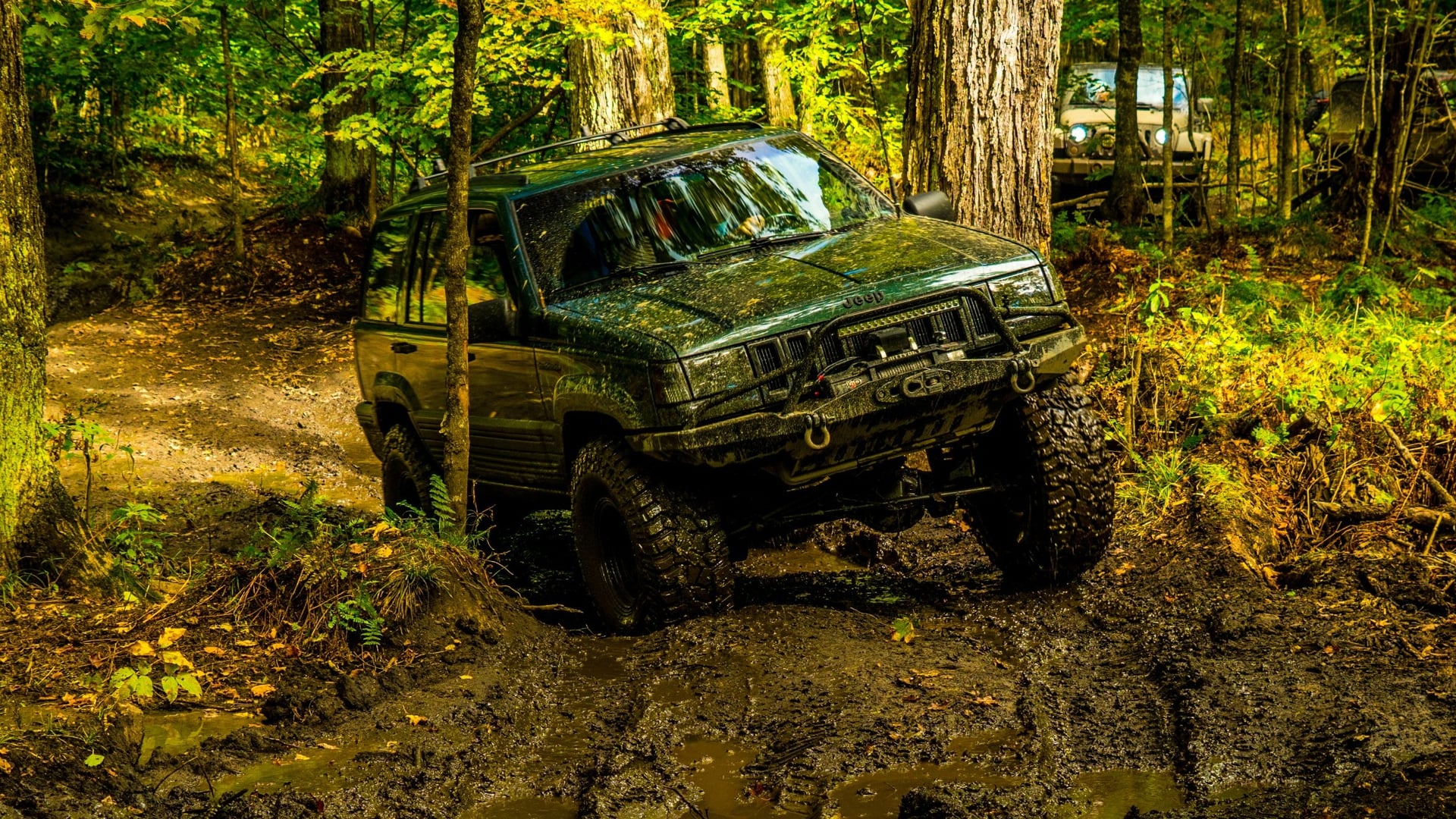 Mean Green ZJ photo 3