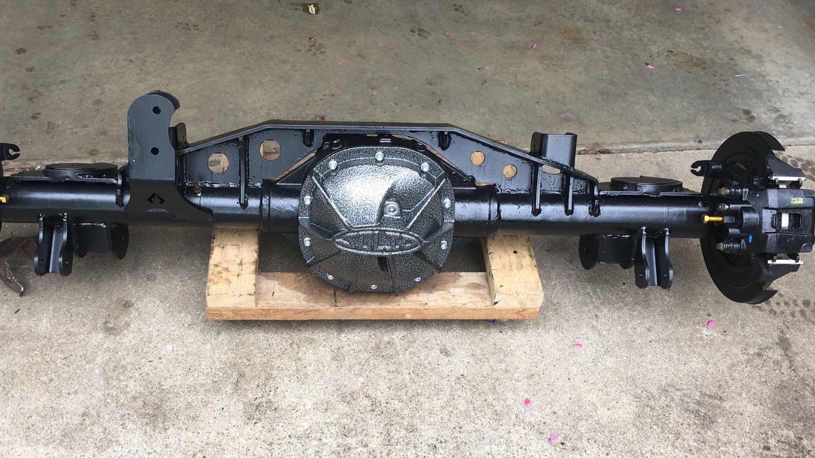 Mean Green ZJ photo 9