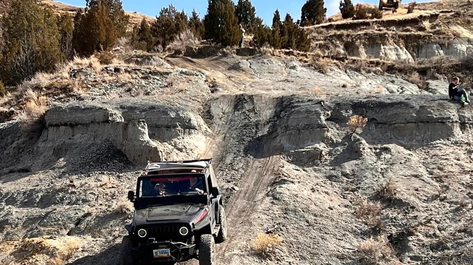 Blackgeared photo 10