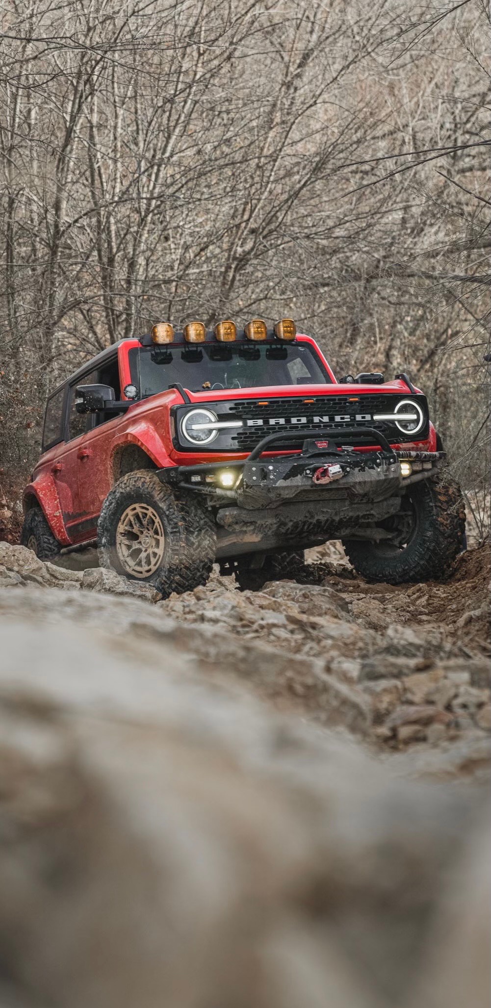 CHASE GENTRY’s Bronco, a 2021 Ford Bronco, photo 31 of 34
