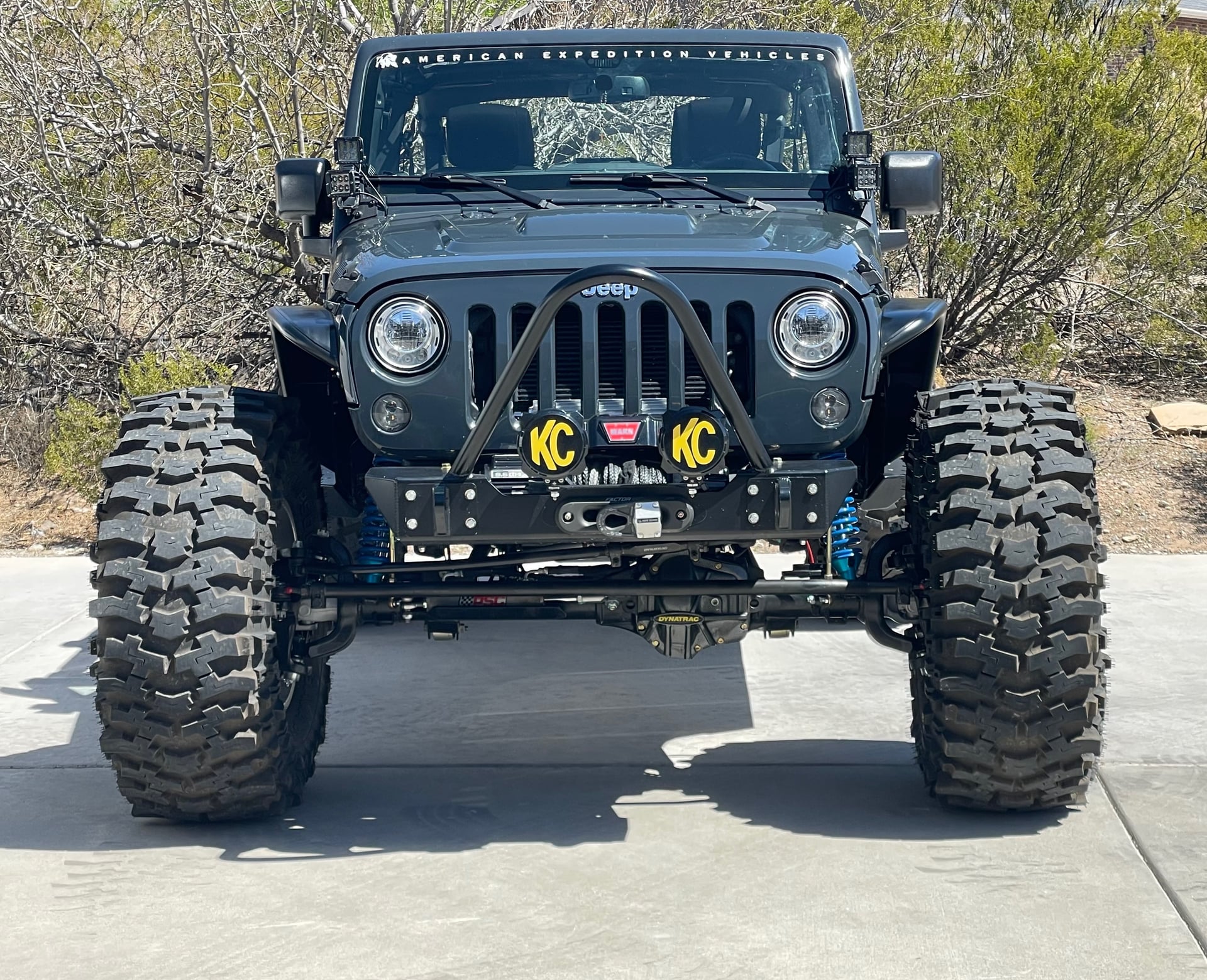 The Blue Rhino photo 1