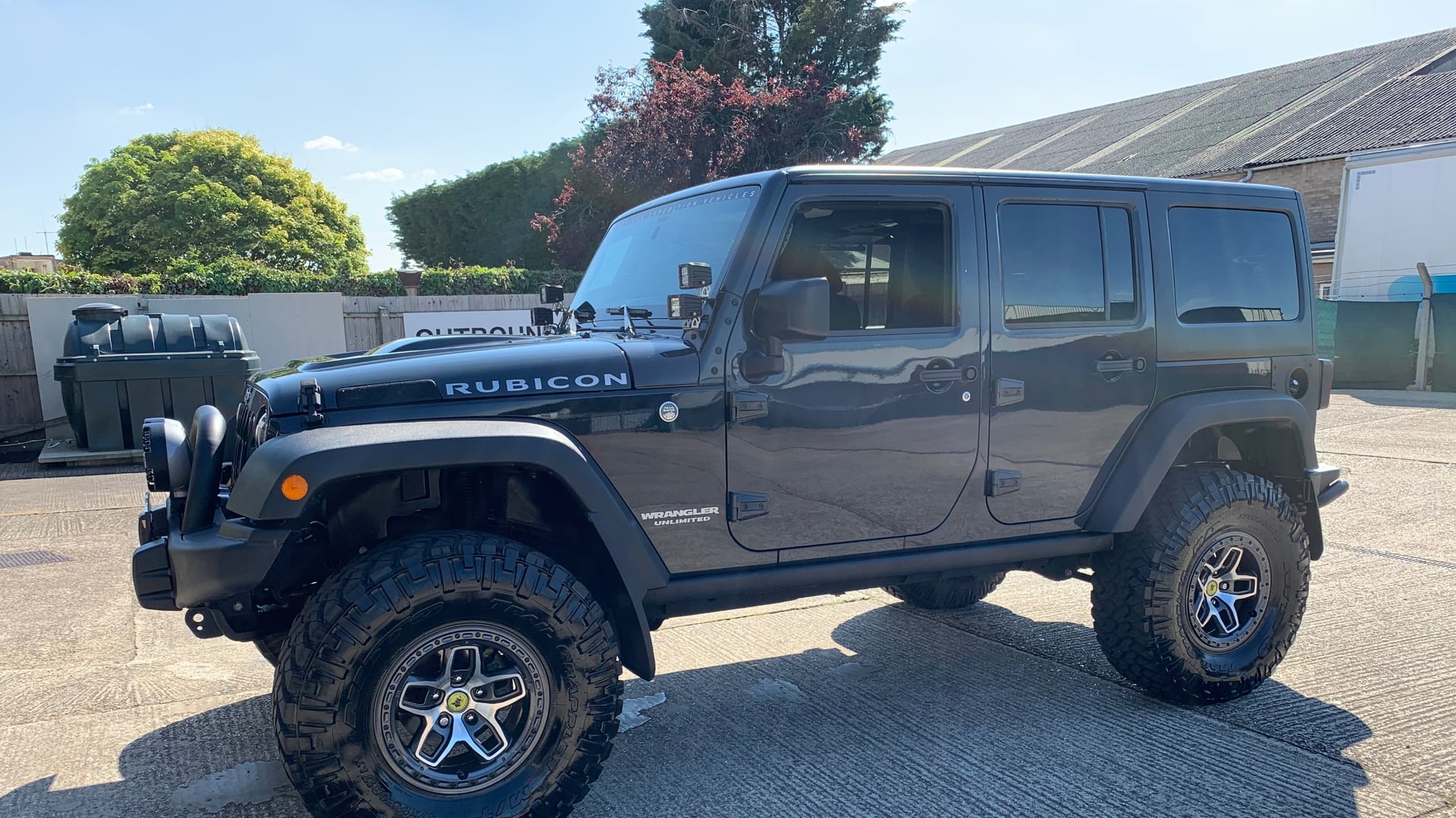 The Blue Rhino photo 13