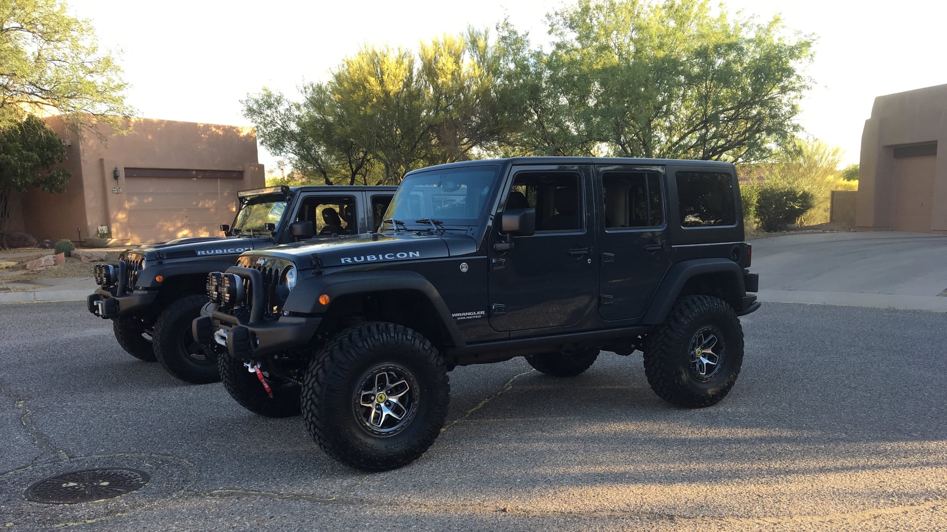 The Blue Rhino photo 12