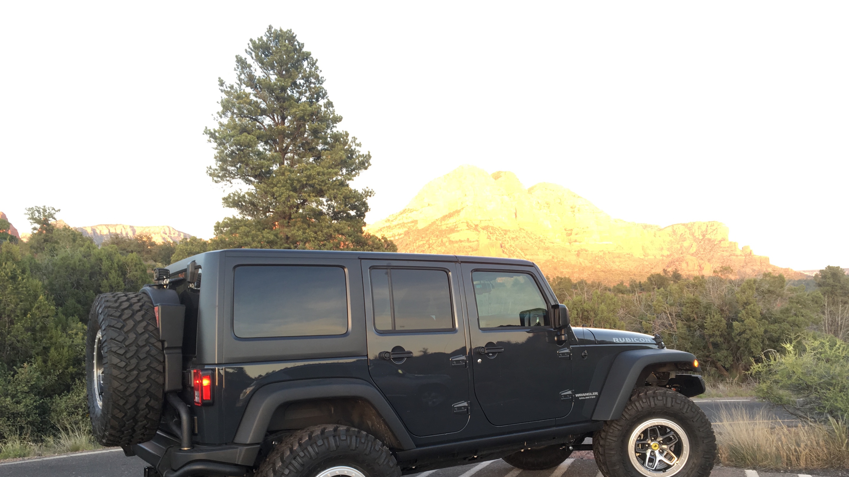 The Blue Rhino photo 16