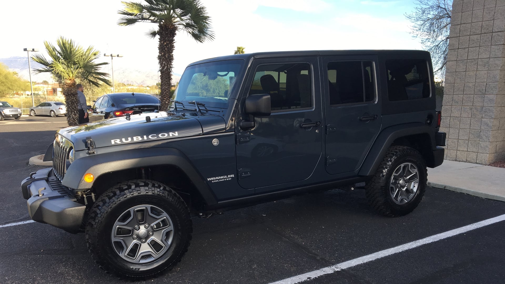 The Blue Rhino photo 19