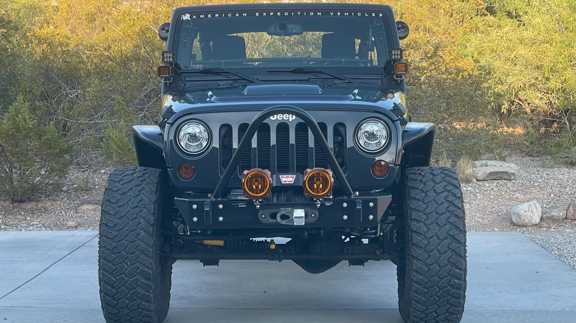 The Blue Rhino photo 10