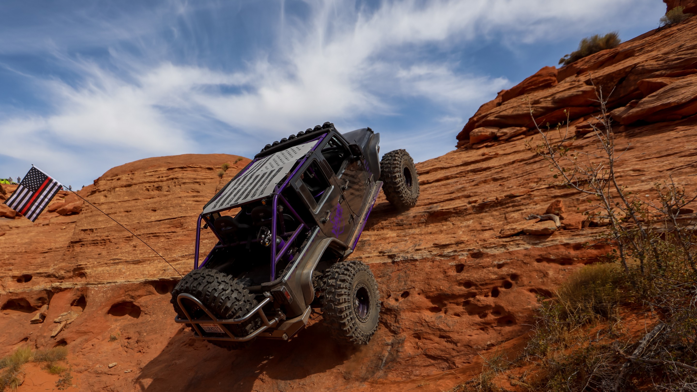 IceBearJKU photo 29