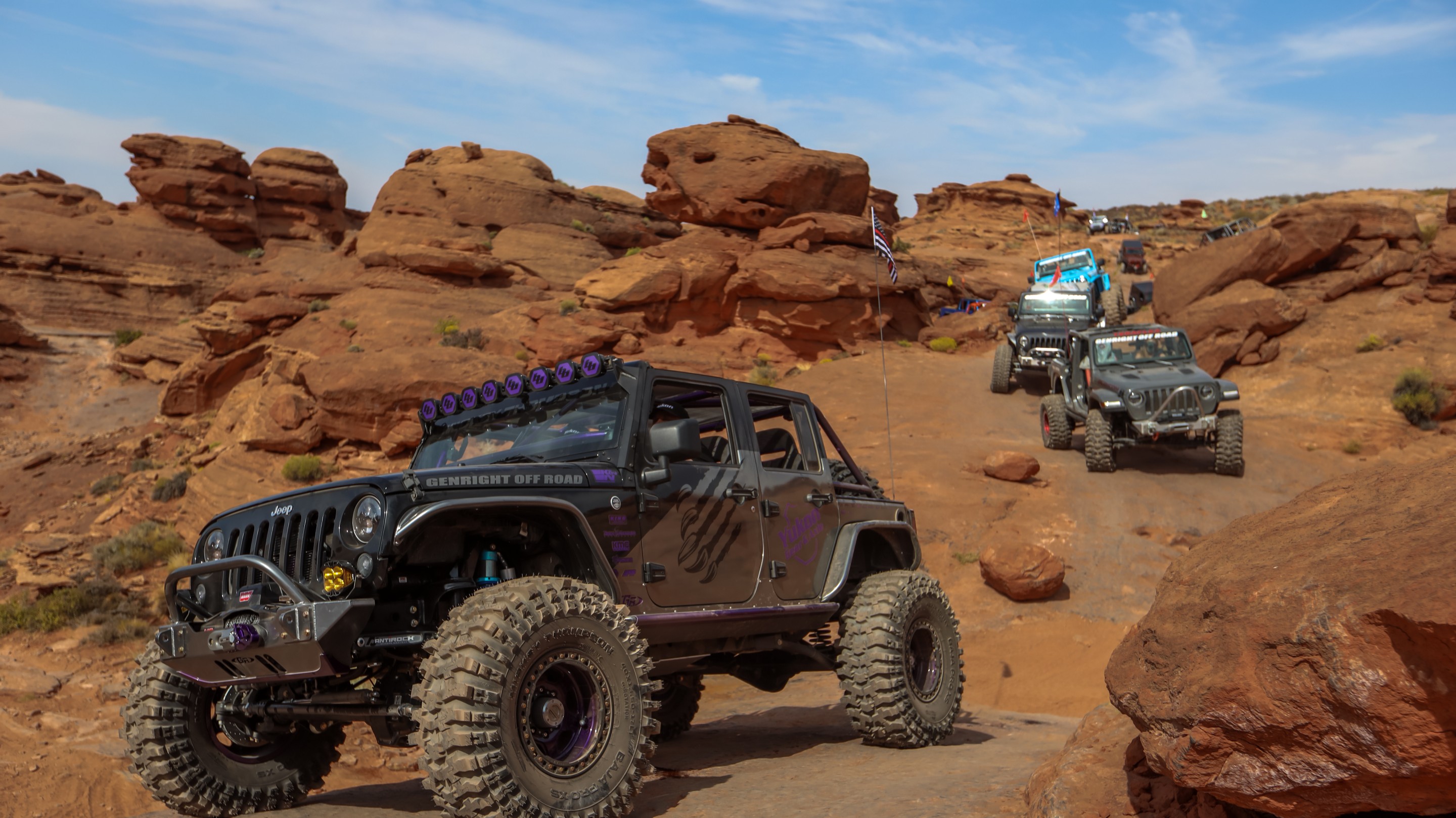 IceBearJKU photo 26