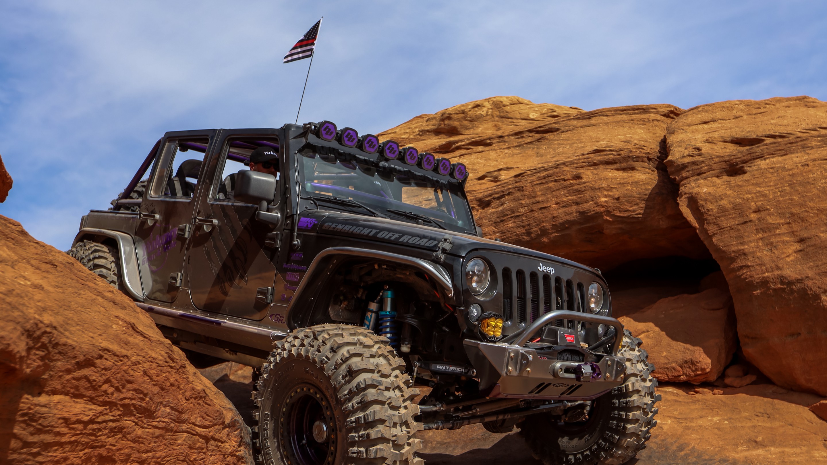 IceBearJKU photo 27