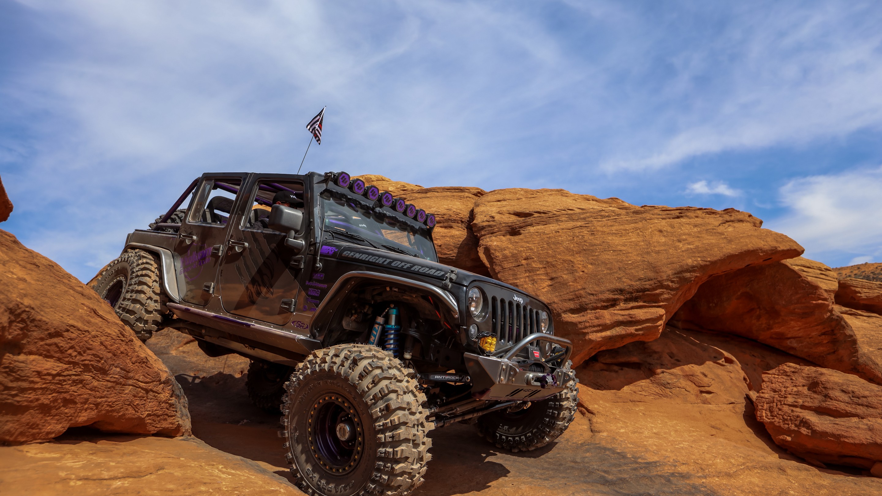 IceBearJKU photo 28