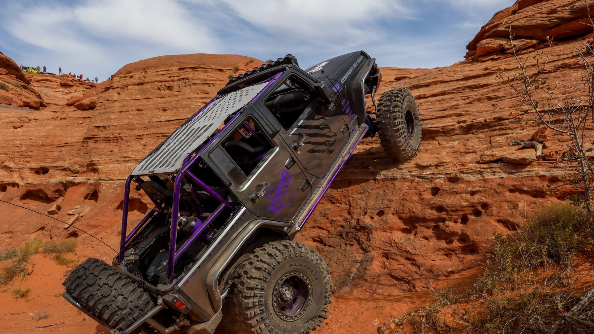 IceBearJKU photo 30