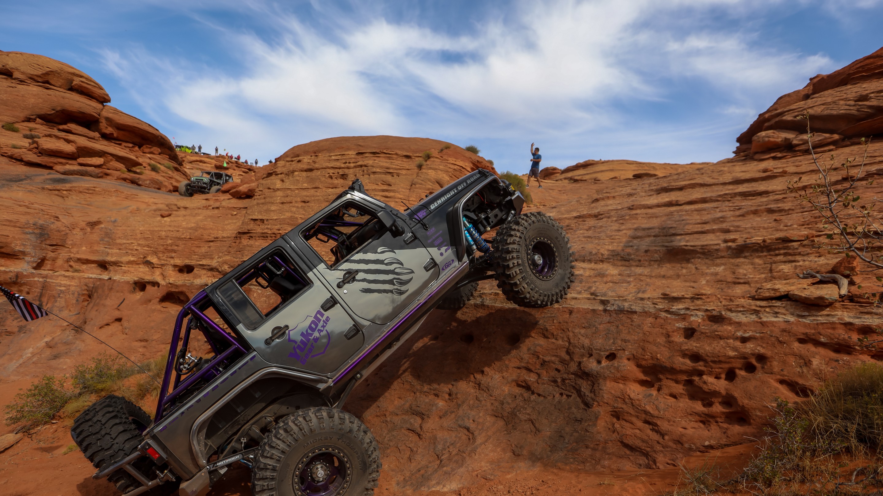 IceBearJKU photo 31