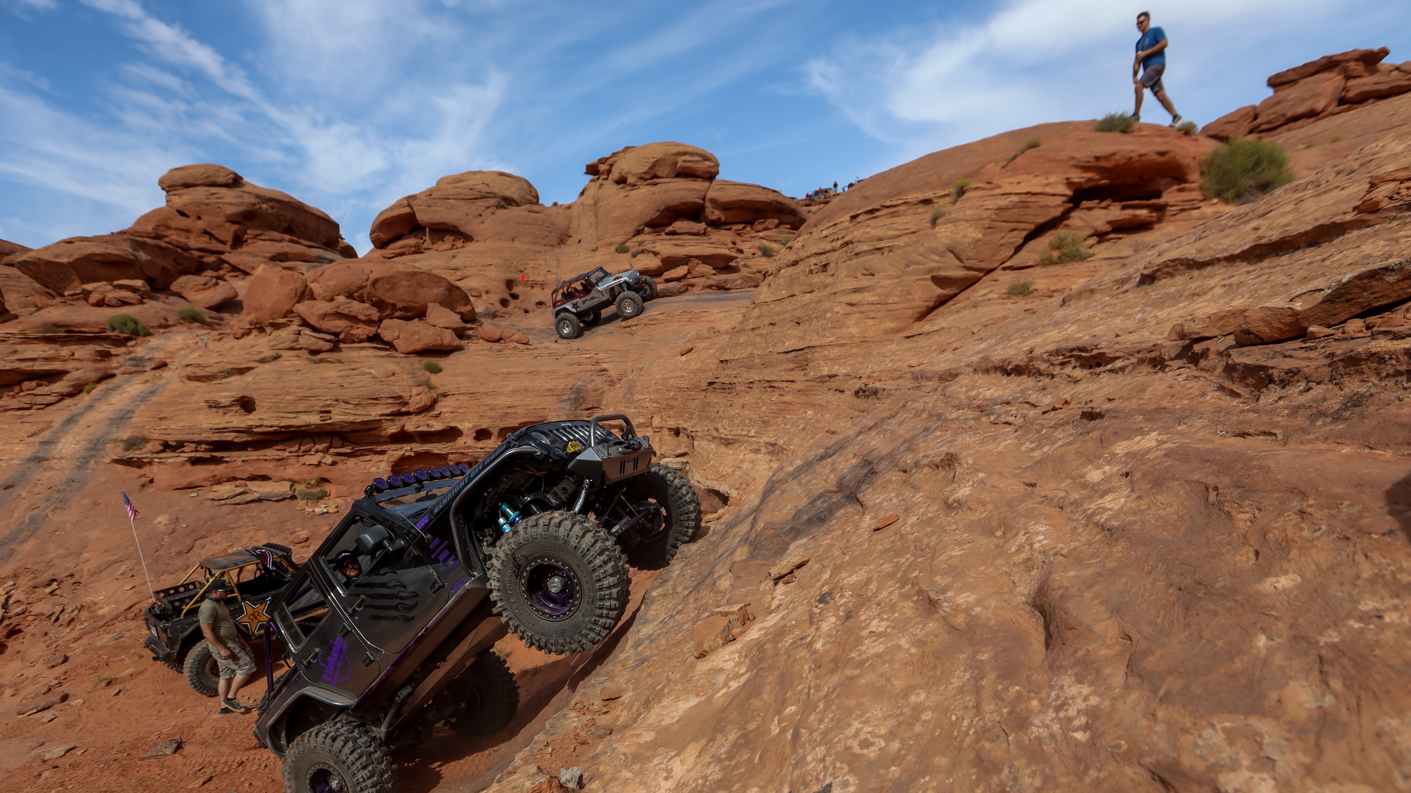 IceBearJKU photo 33