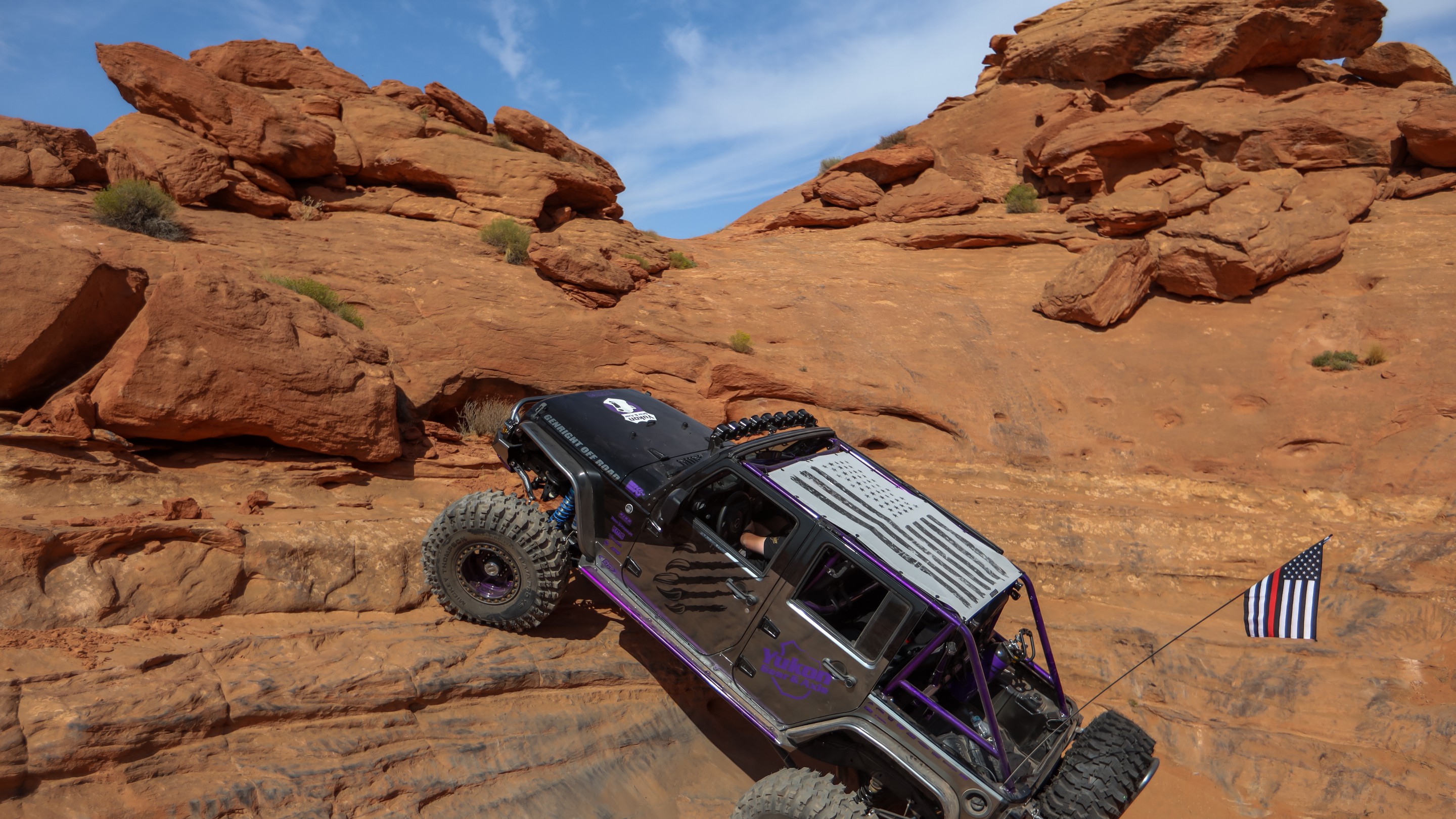 IceBearJKU photo 34