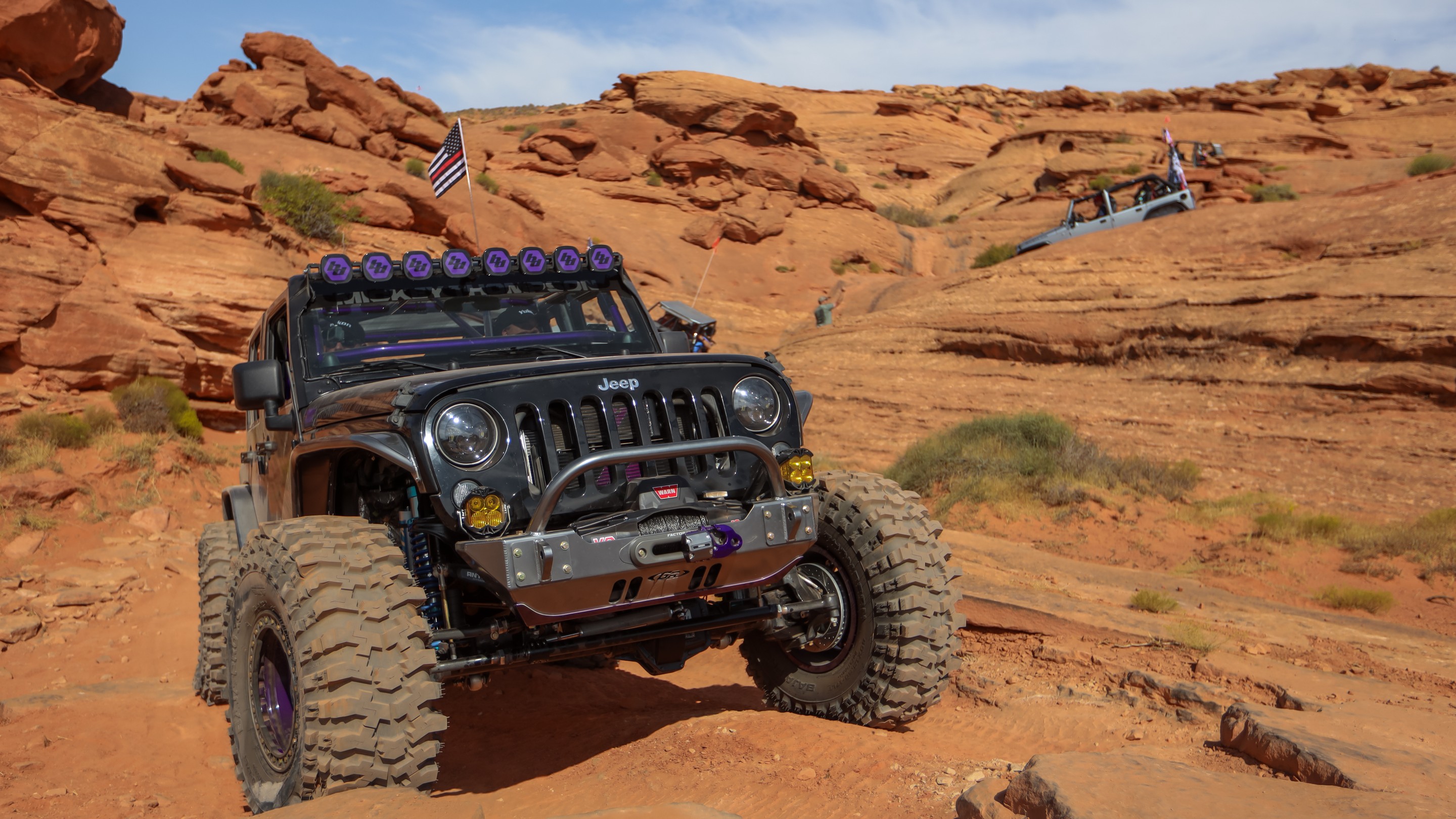 IceBearJKU photo 35