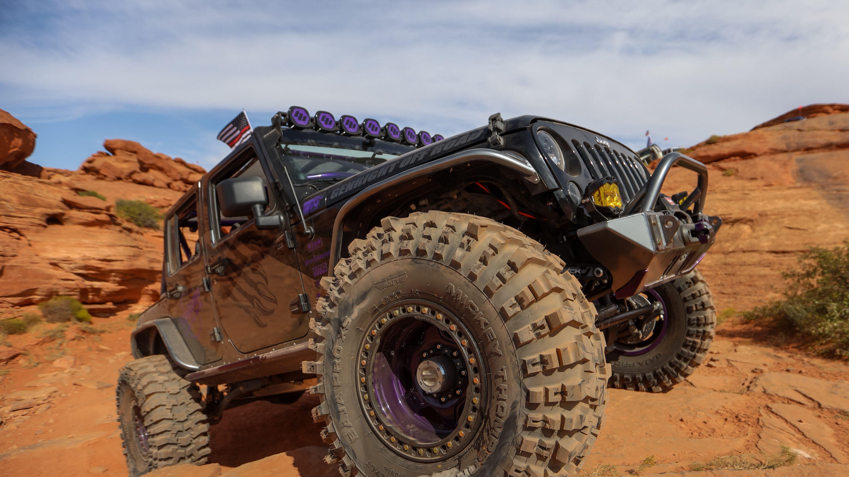 IceBearJKU photo 36