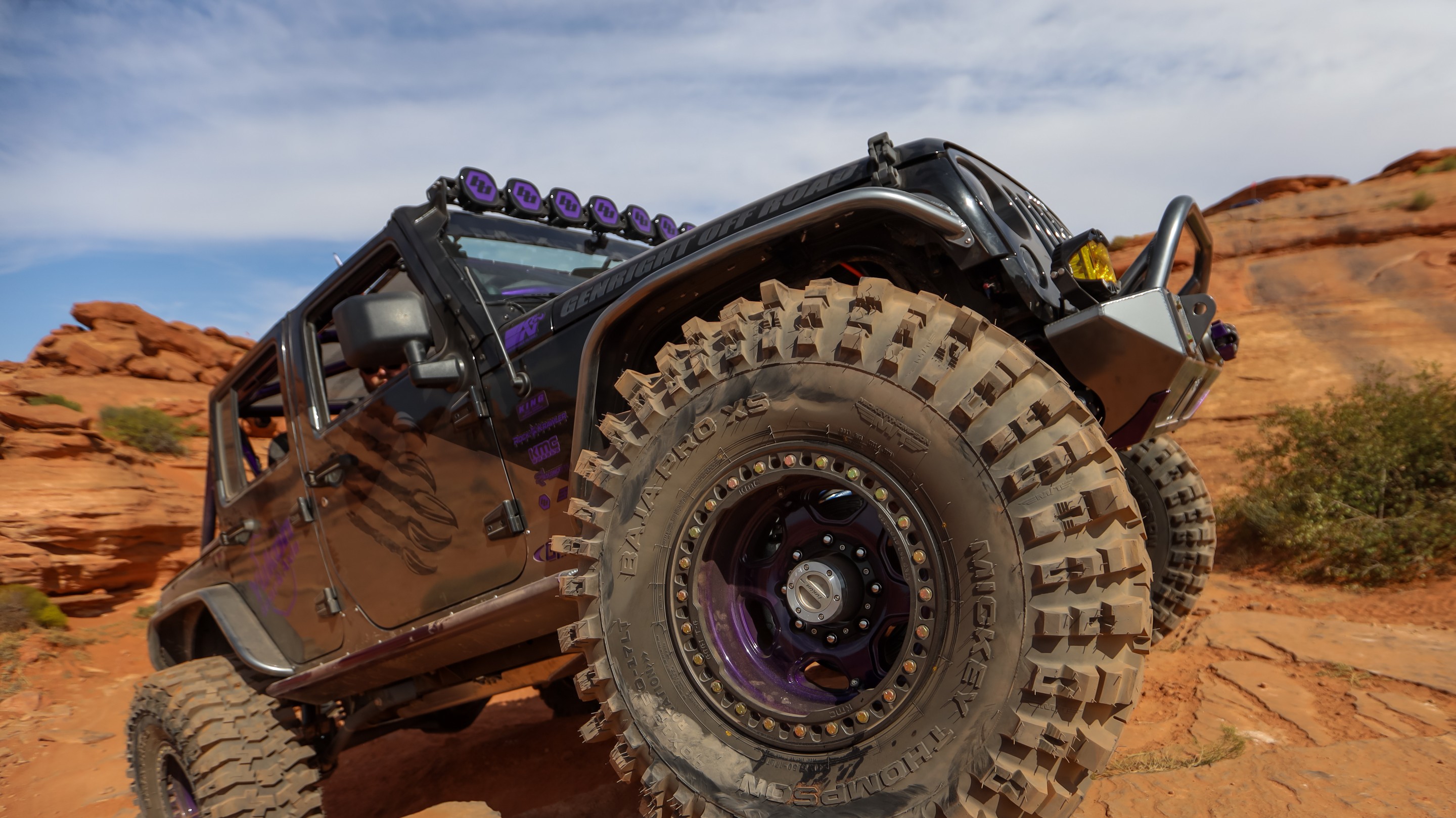 IceBearJKU photo 37