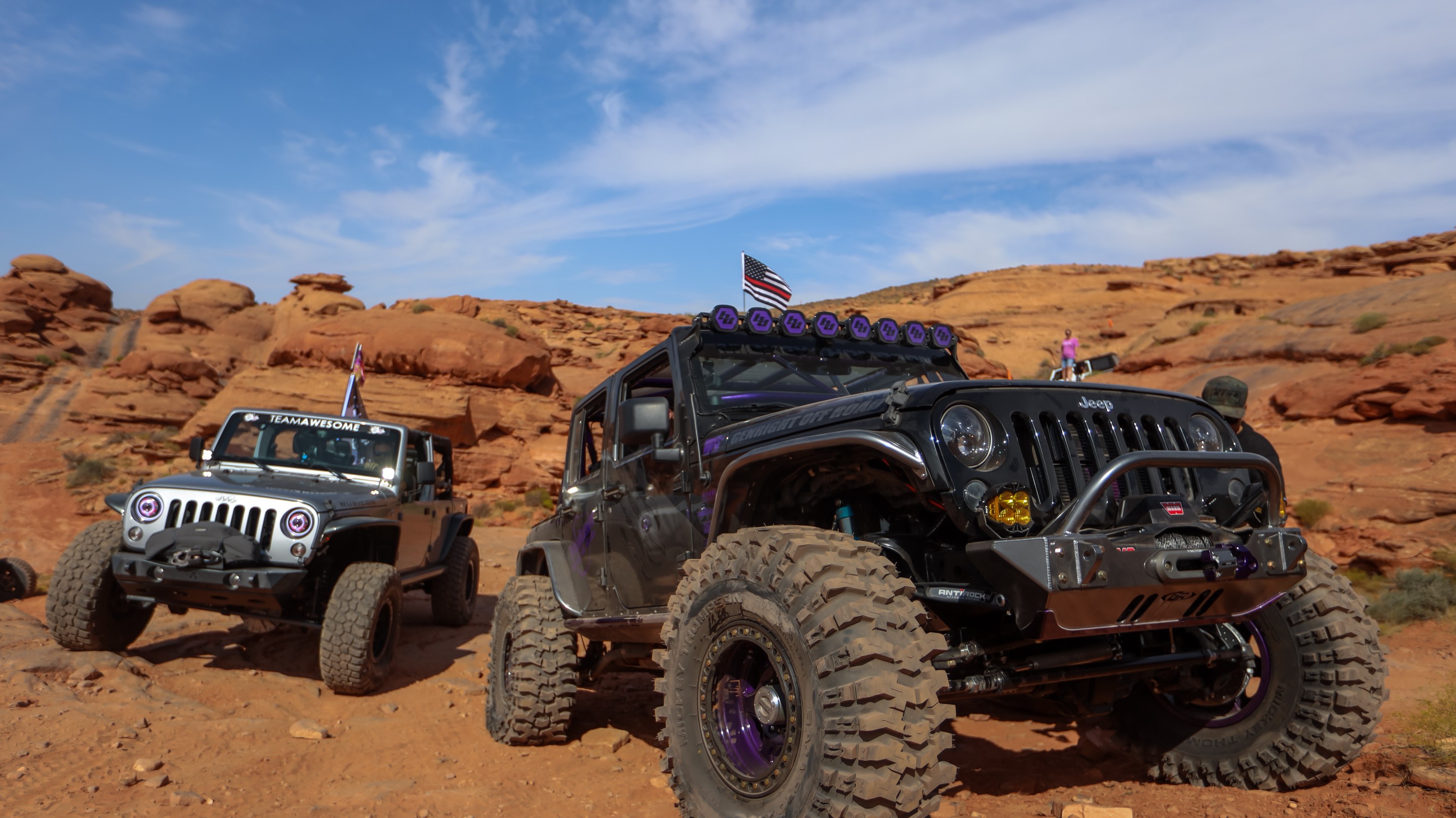IceBearJKU photo 38