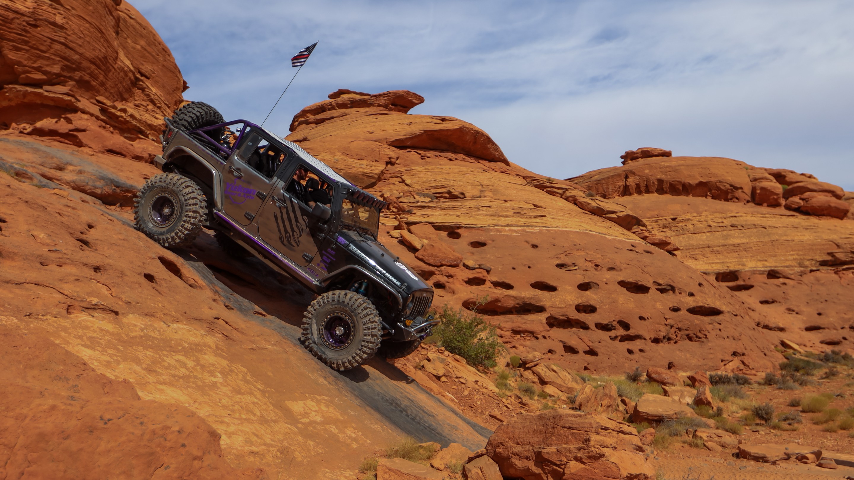 IceBearJKU photo 39