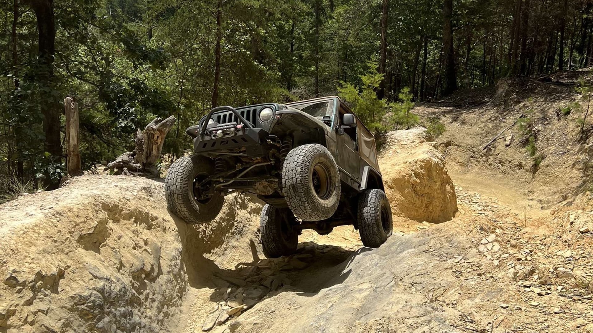 JustaGreenTJ photo 1