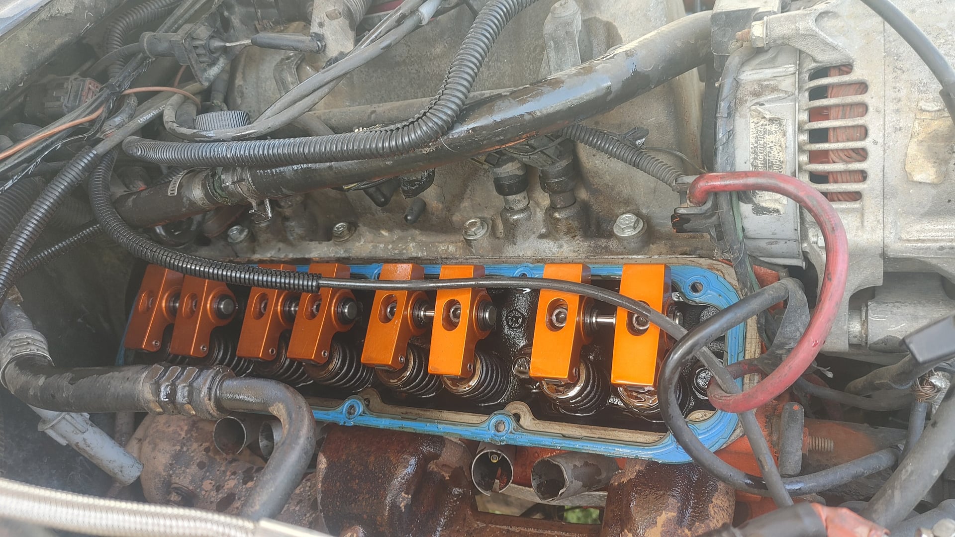 Project Kathryn photo 17