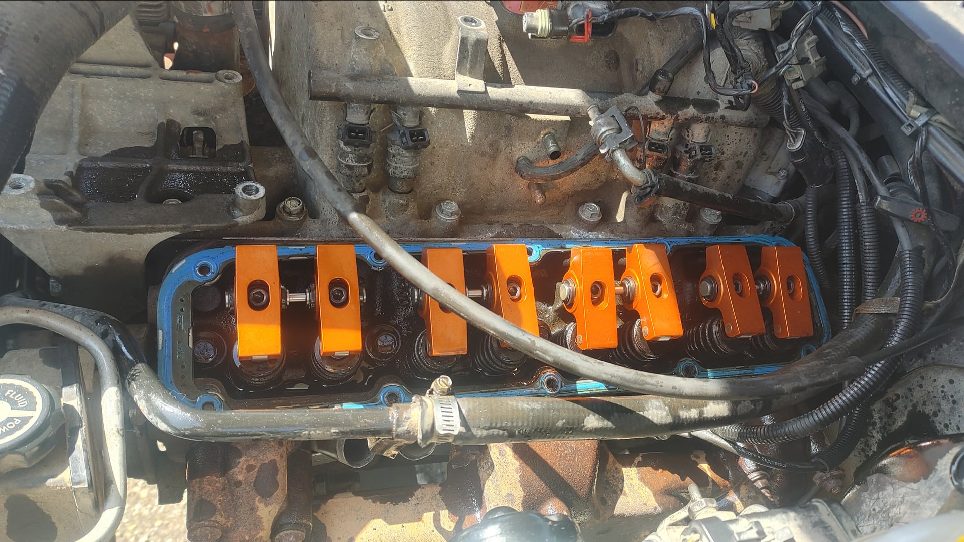 Project Kathryn photo 16