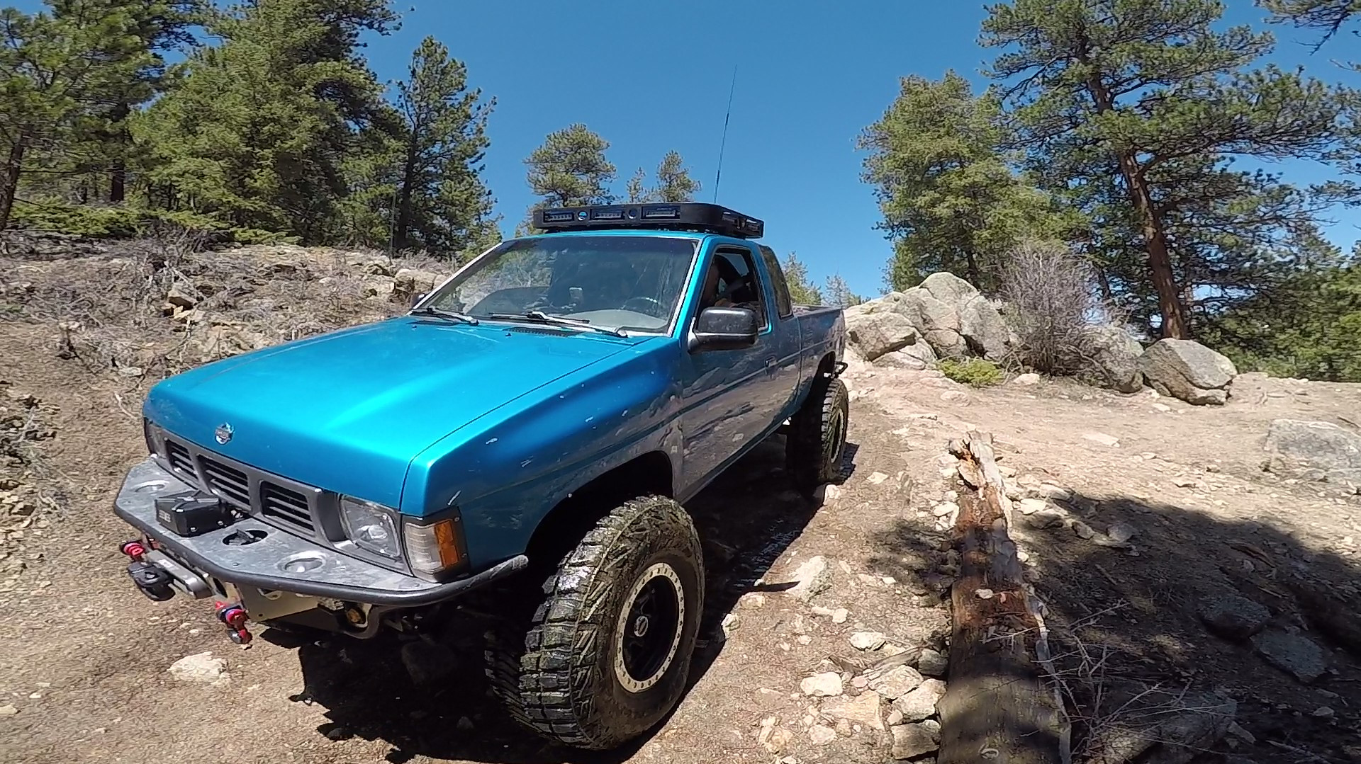 Misfit Toy photo 215