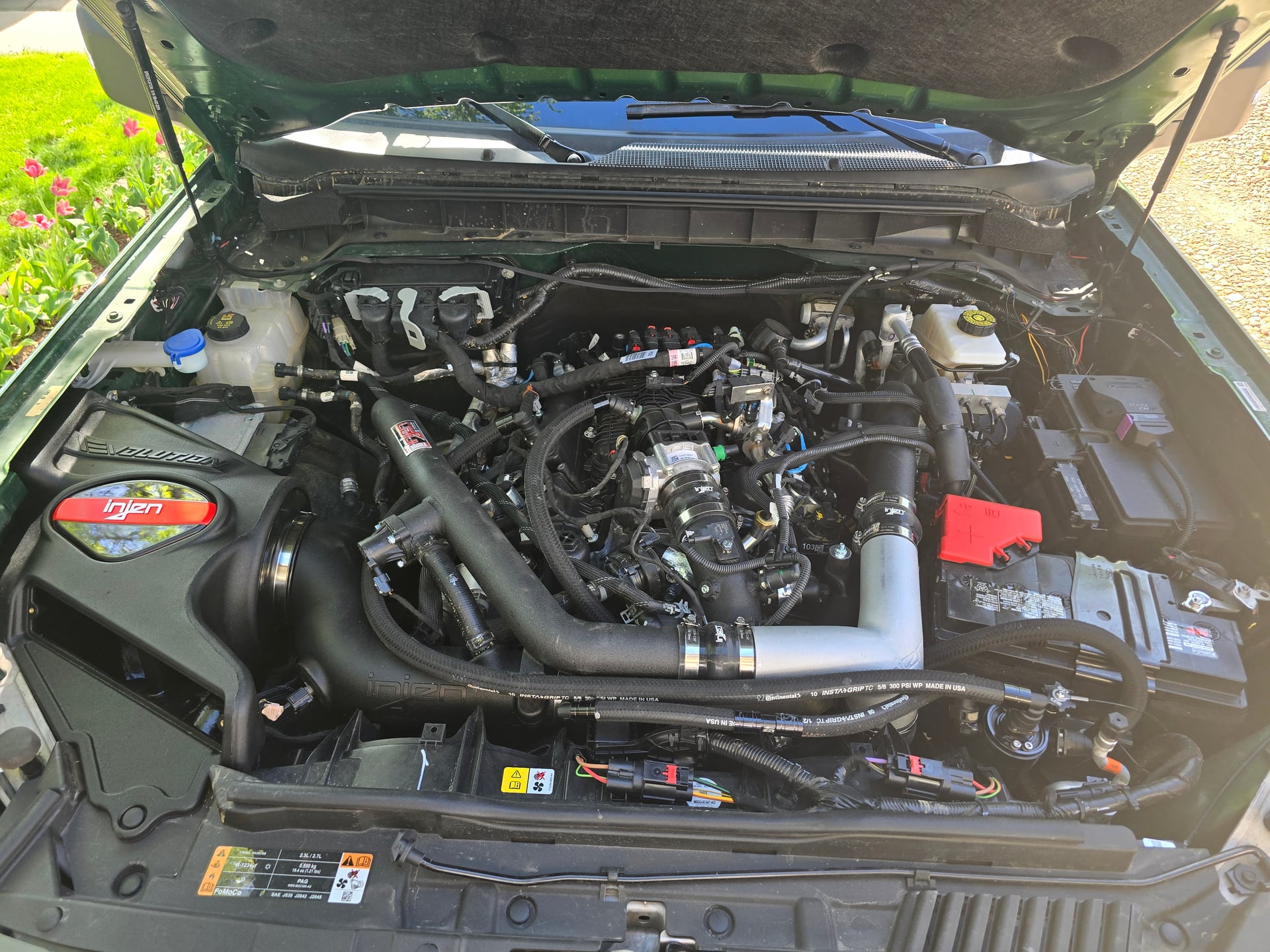 Green_Machine photo 4