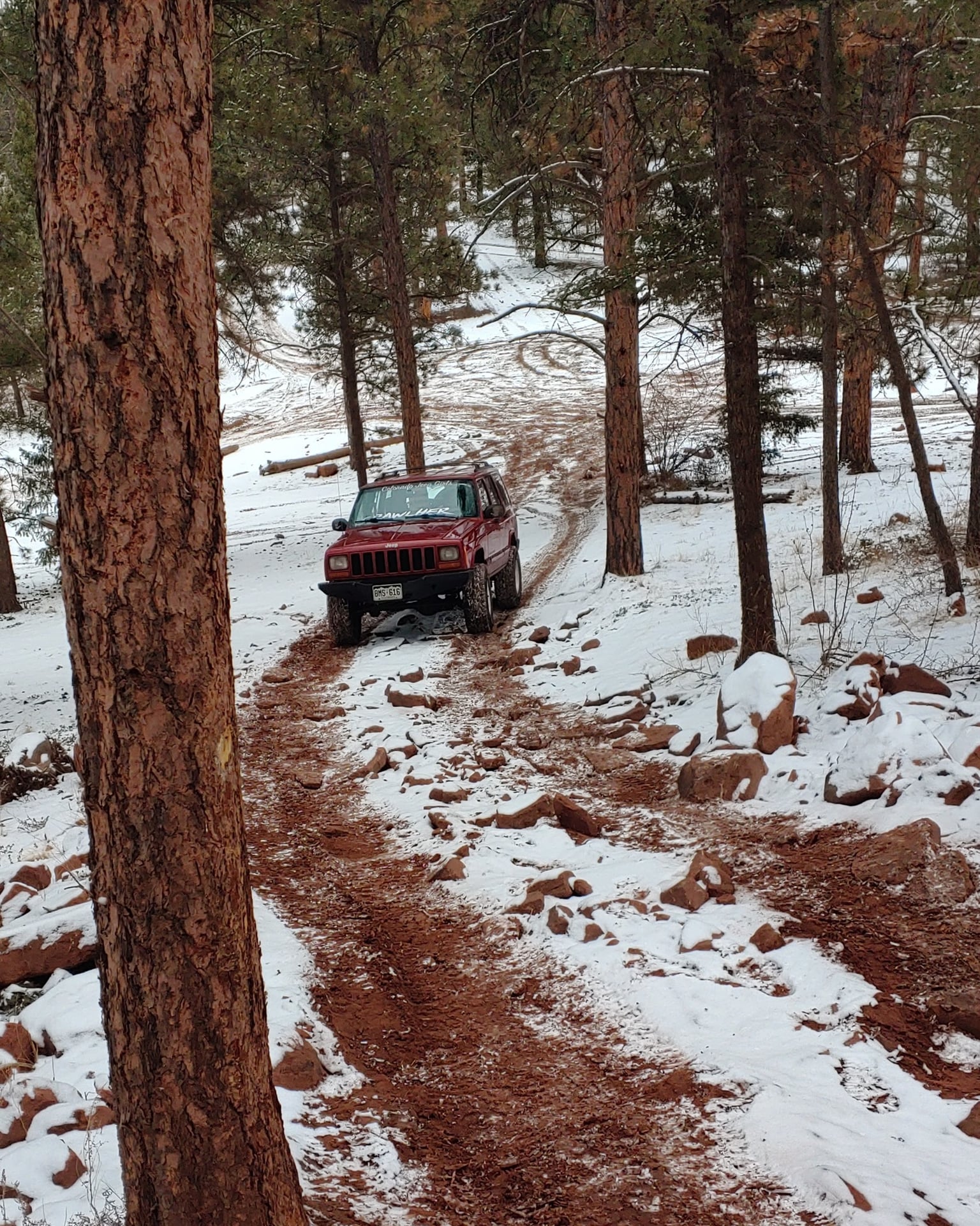 RedLikeRoses Ruby  XJ99 photo 17