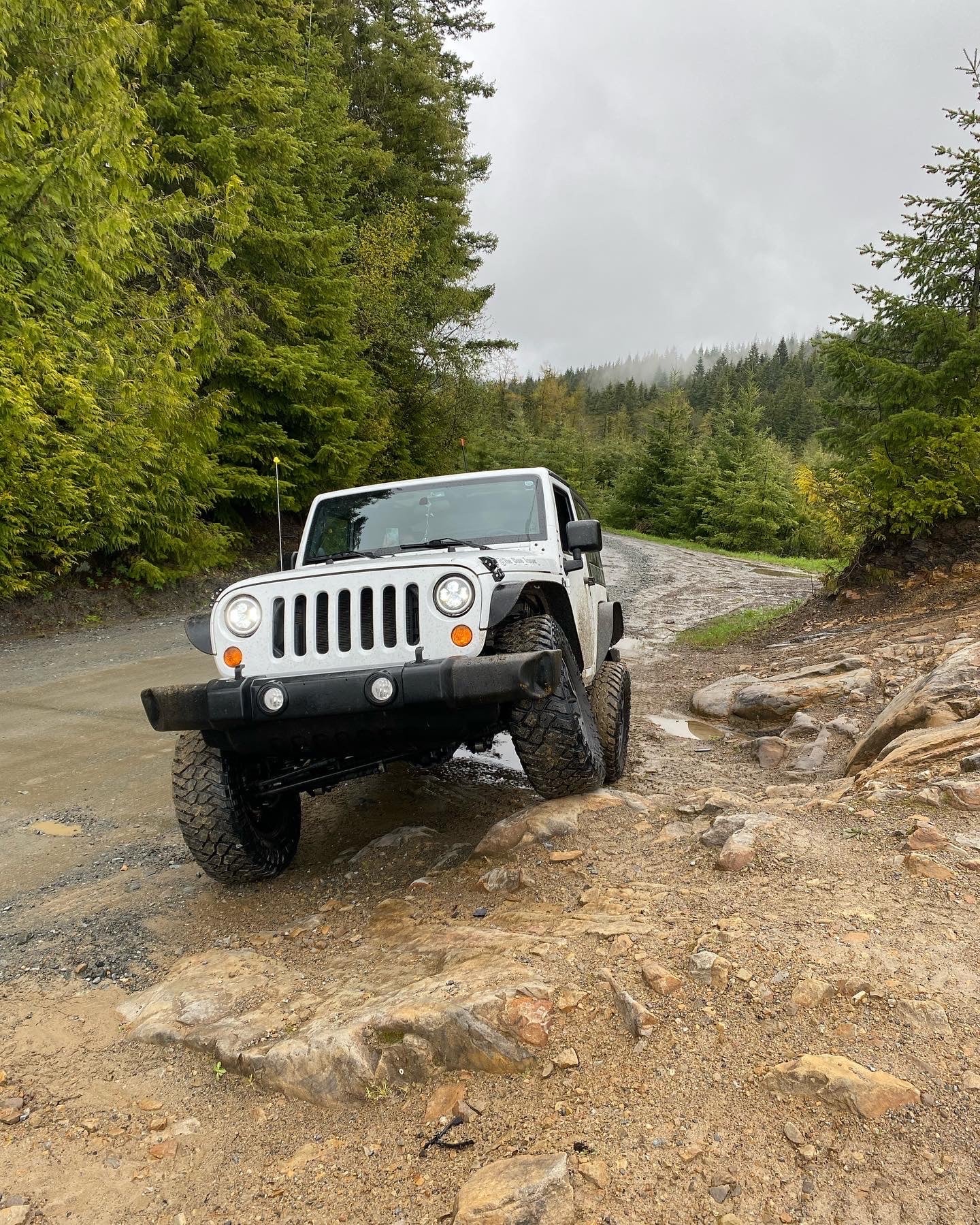 the_clone_trooper_ photo 3