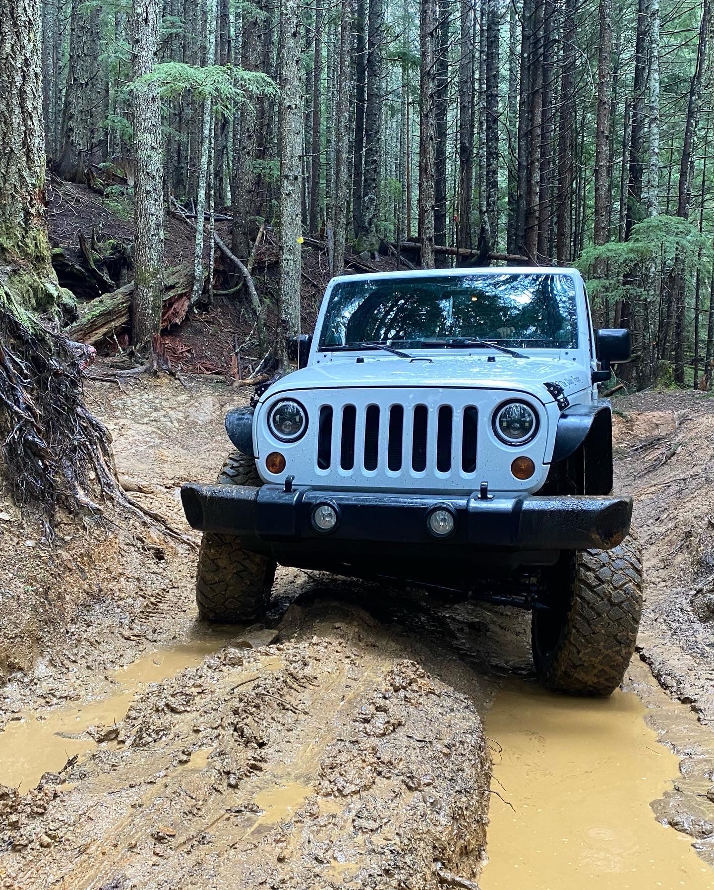 the_clone_trooper_ photo 5